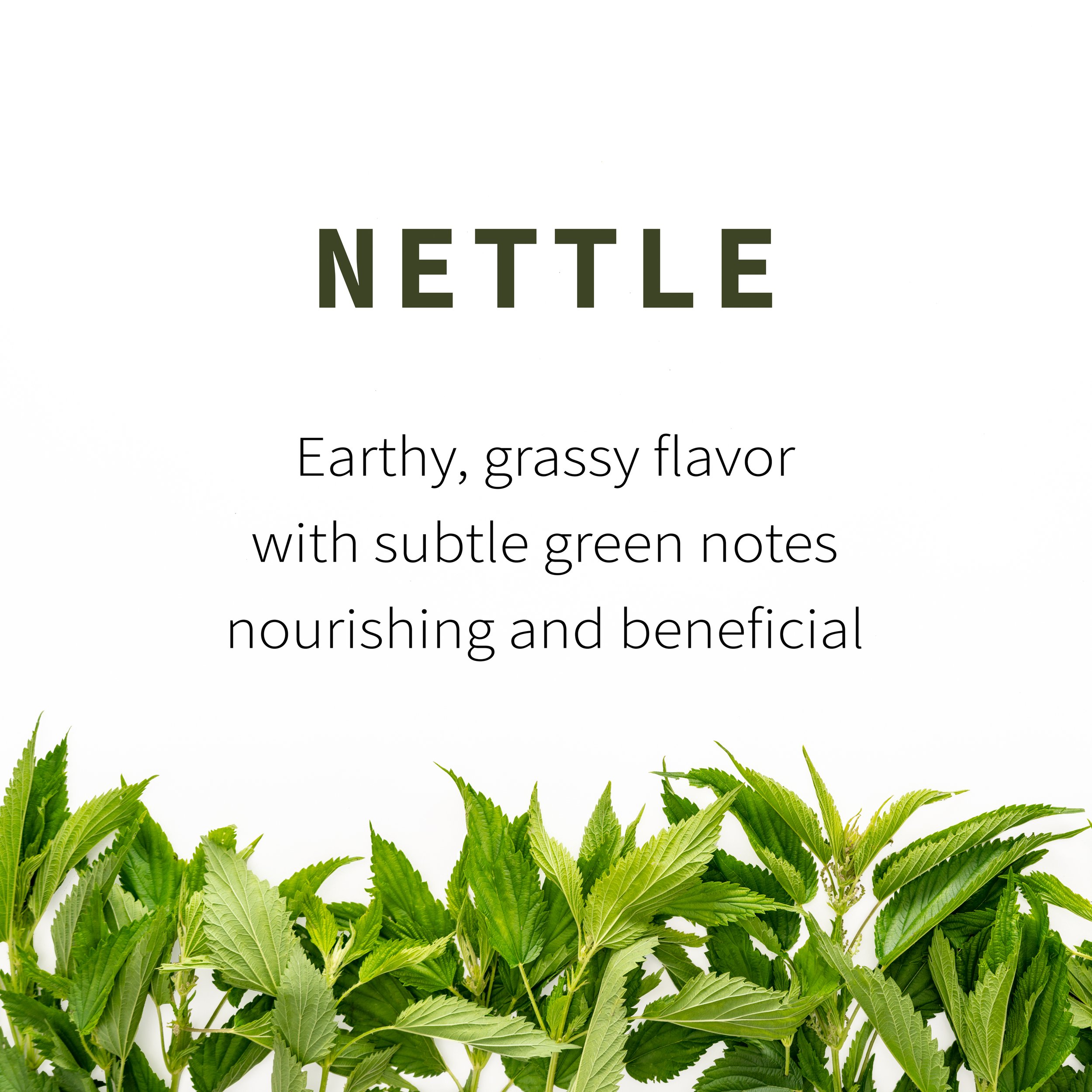 2_Nettle Flavor.jpg