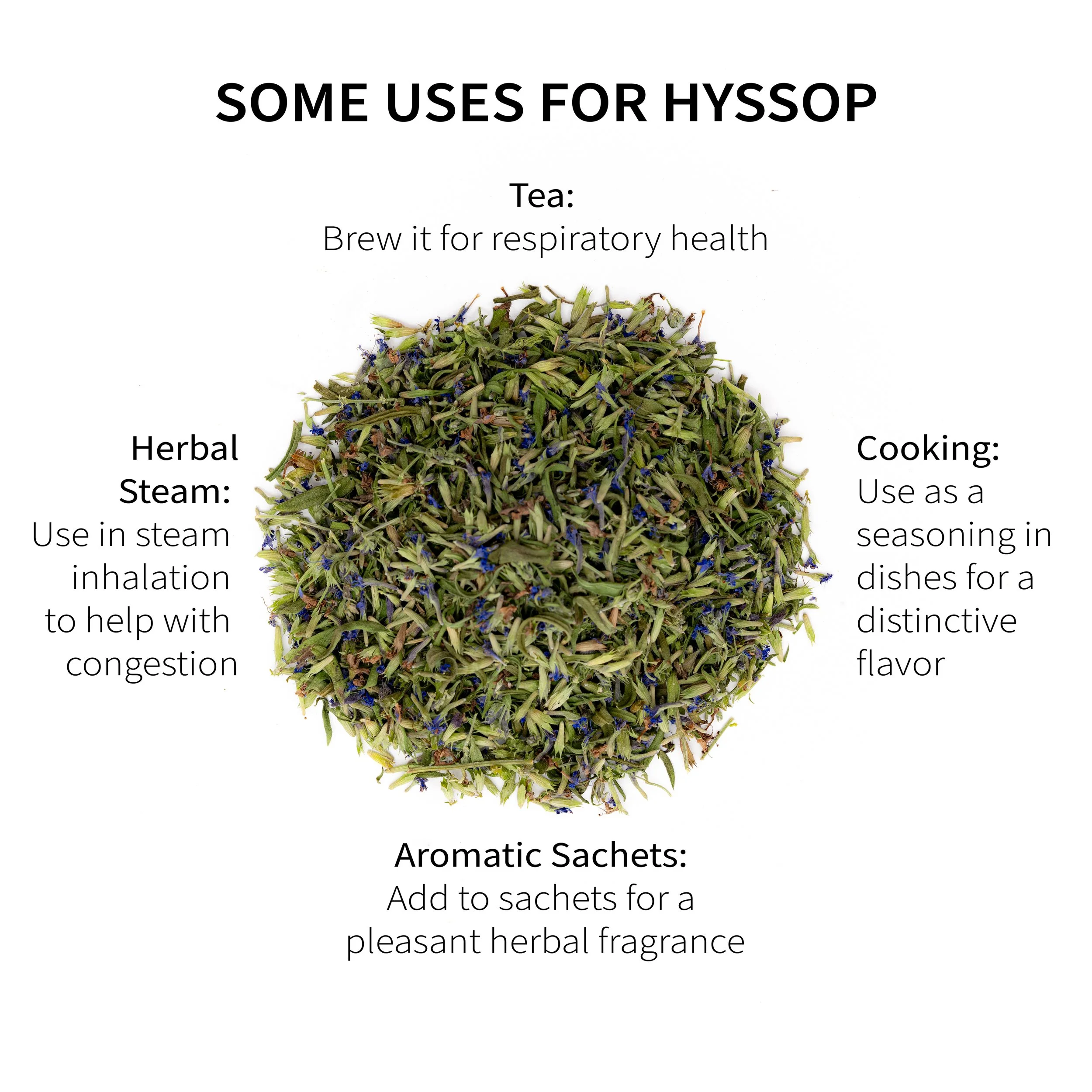 3_Hyssop Uses V2.jpg