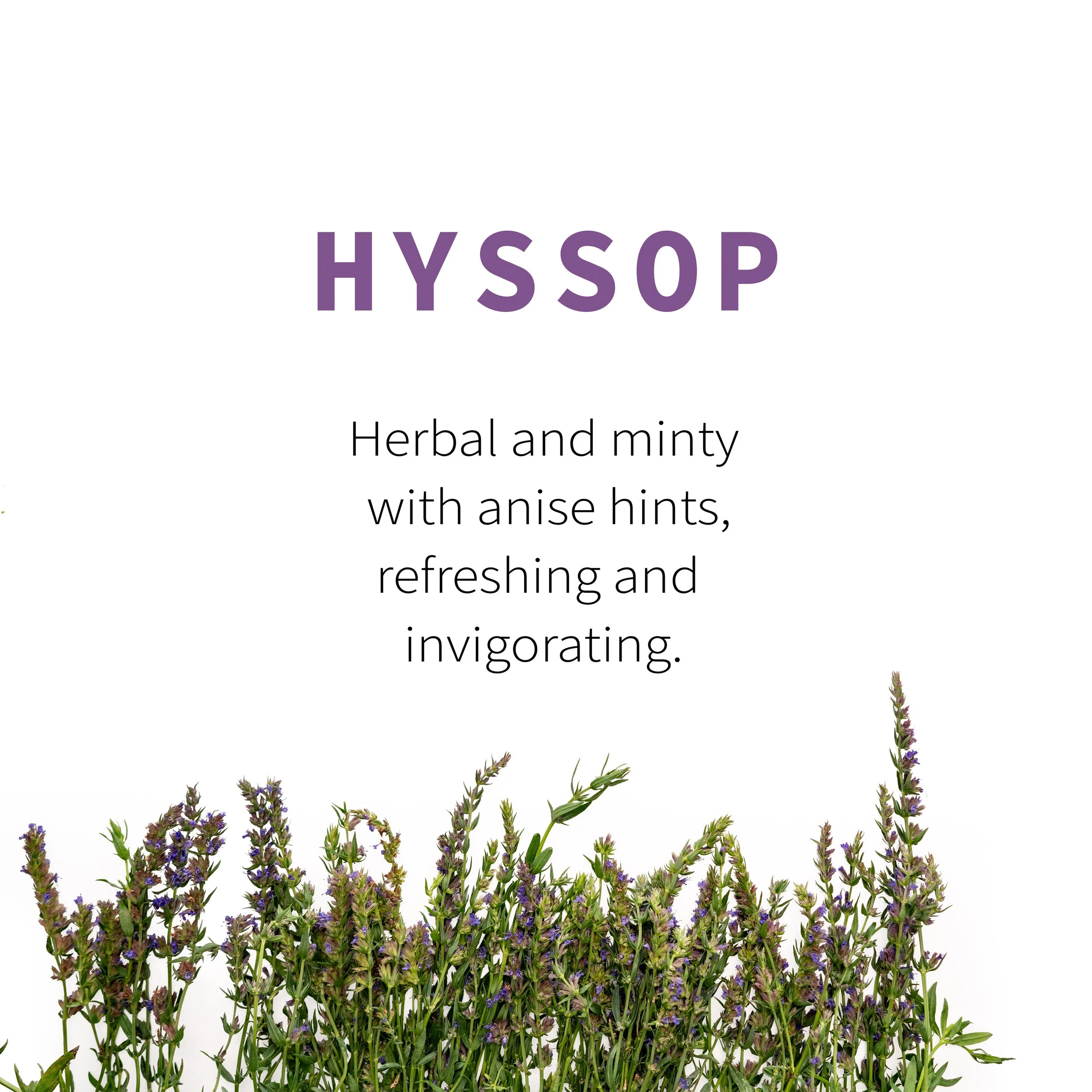 2_Hyssop Flavor.jpg
