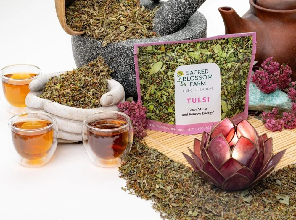 3_Tulsi+Stil+Life.jpg