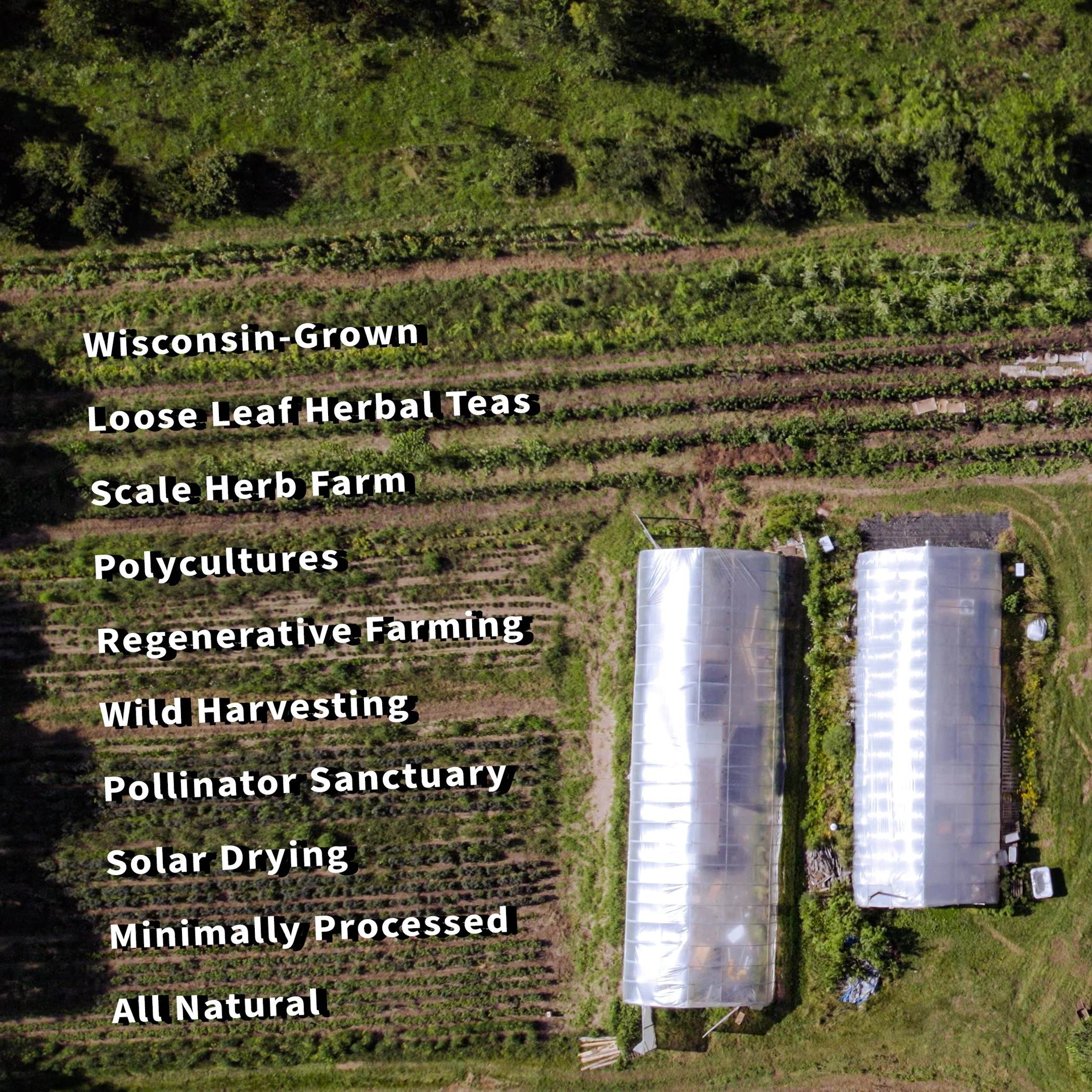 6_About the Farm 5.jpg