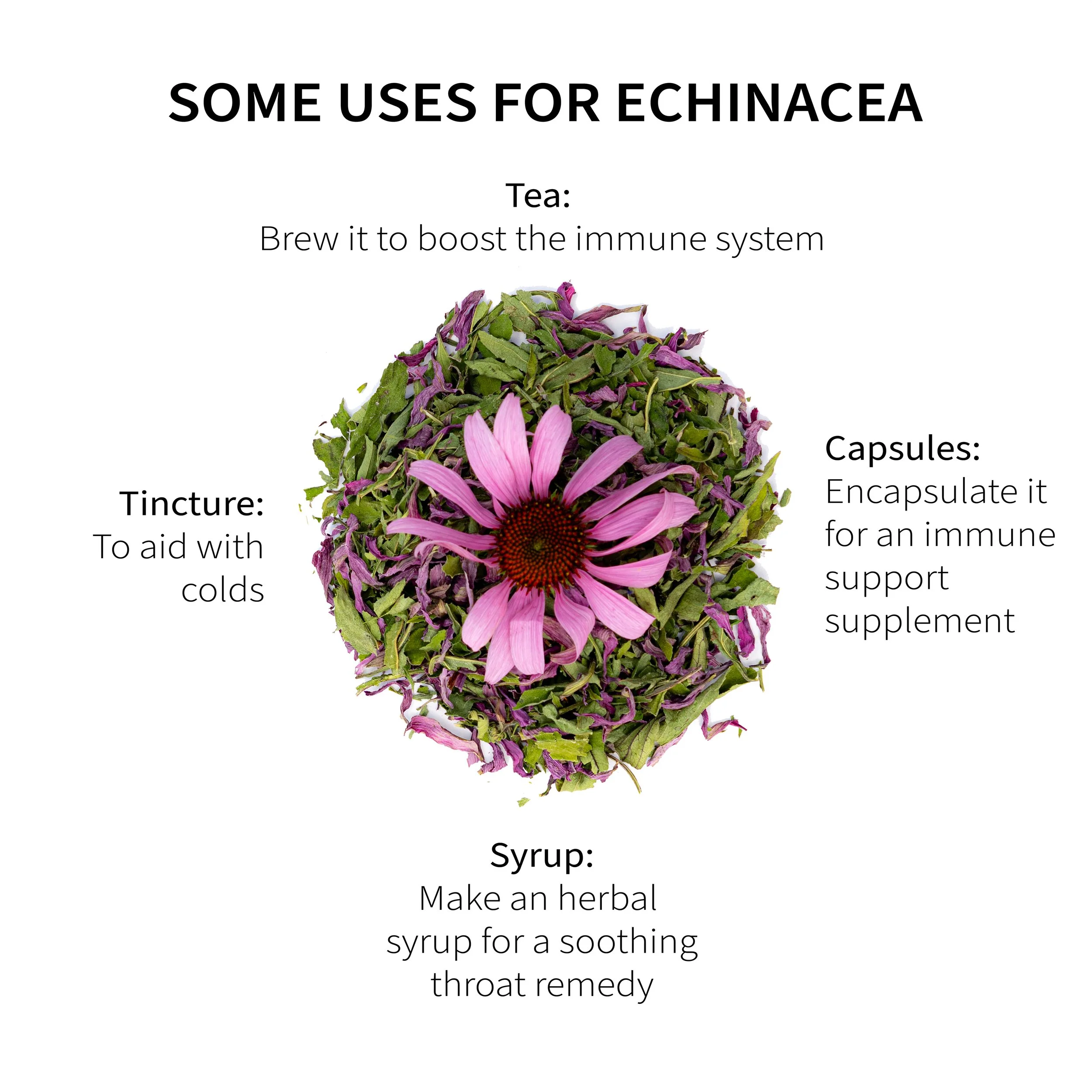 3_Echinacea Uses V2.jpg