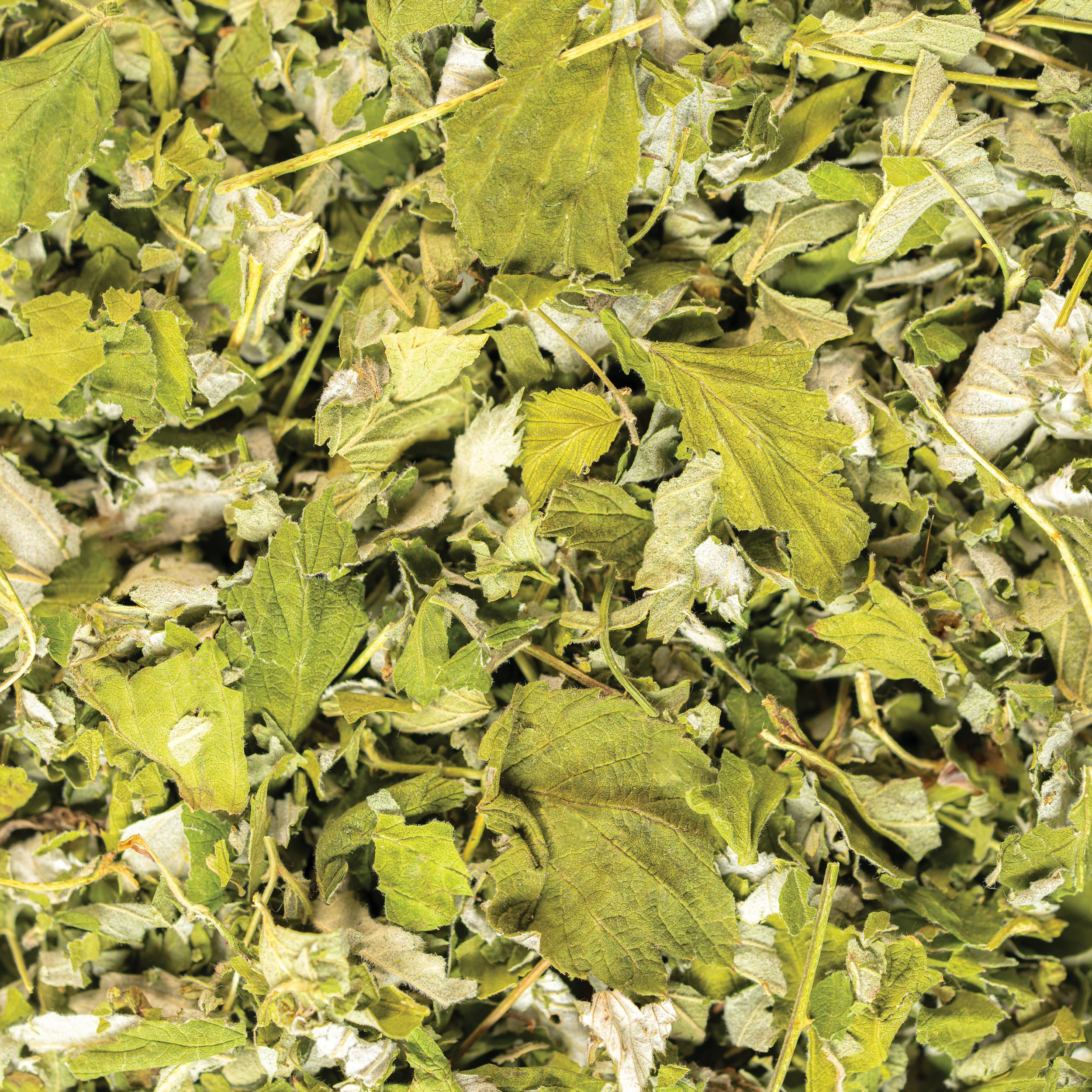 5_Raspberry Leaf_Bulk Label Macro.jpg