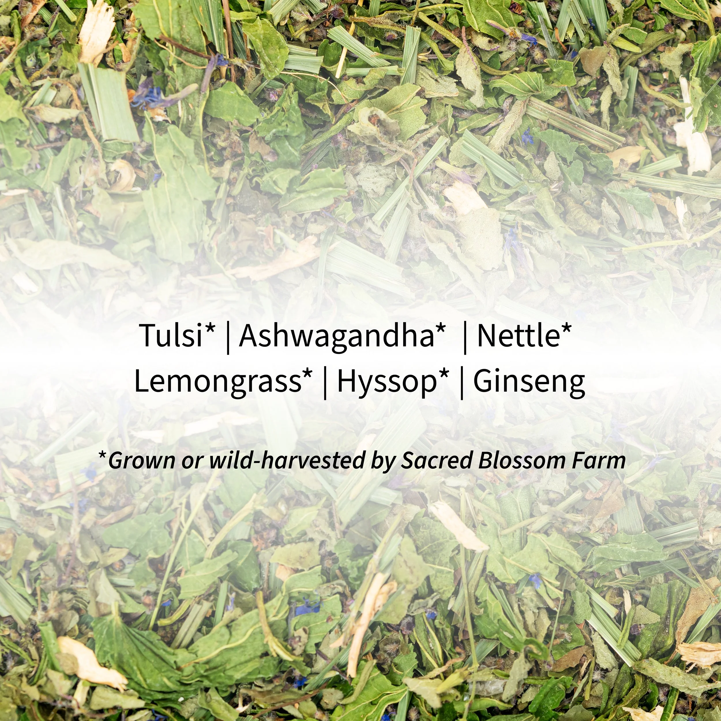 4_Tiger Ingredients.jpg