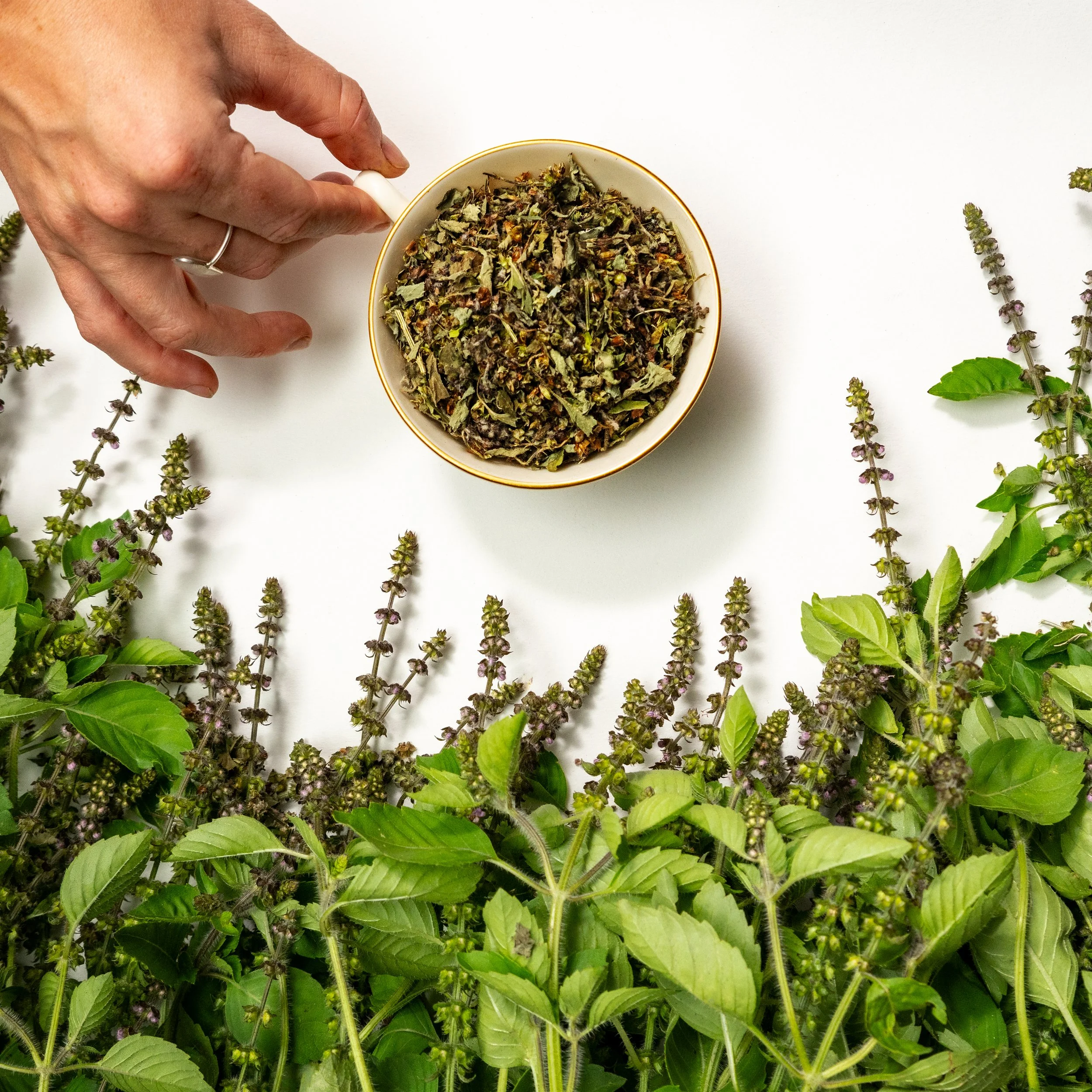 4_Tulsi - Farm Table Art - Square.jpg