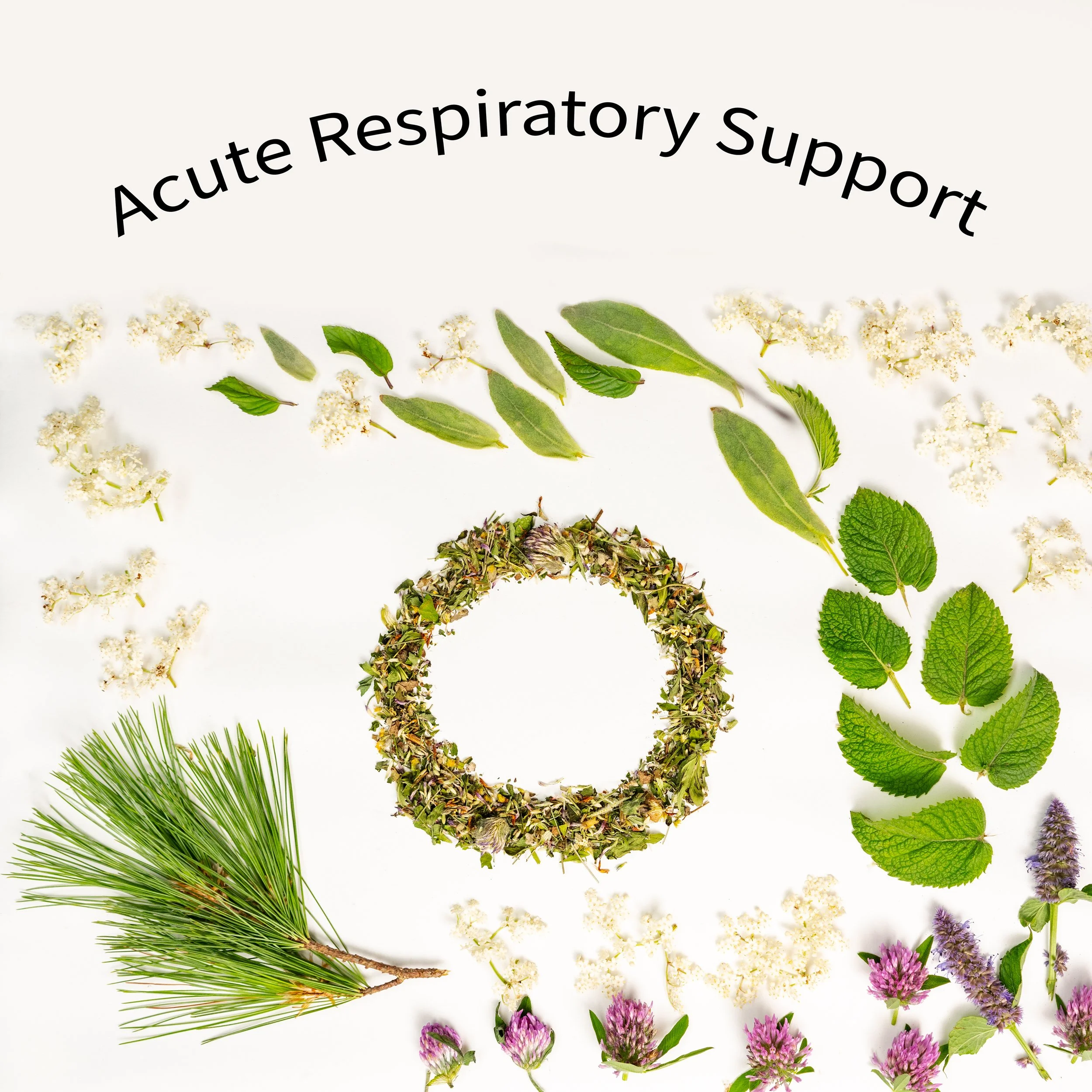 3_Breath - Farm Table Art - Square.jpg