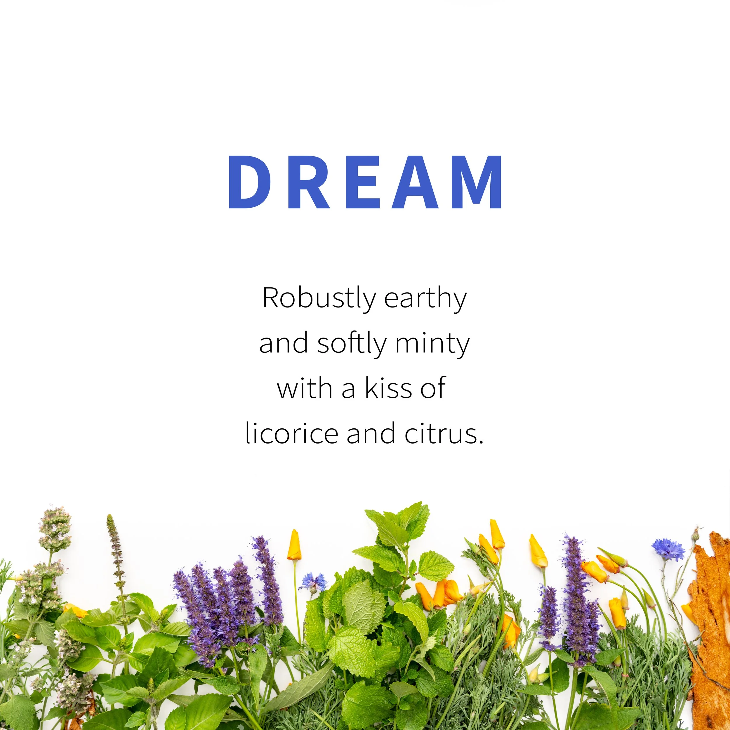 2_Dream Flavor.jpg