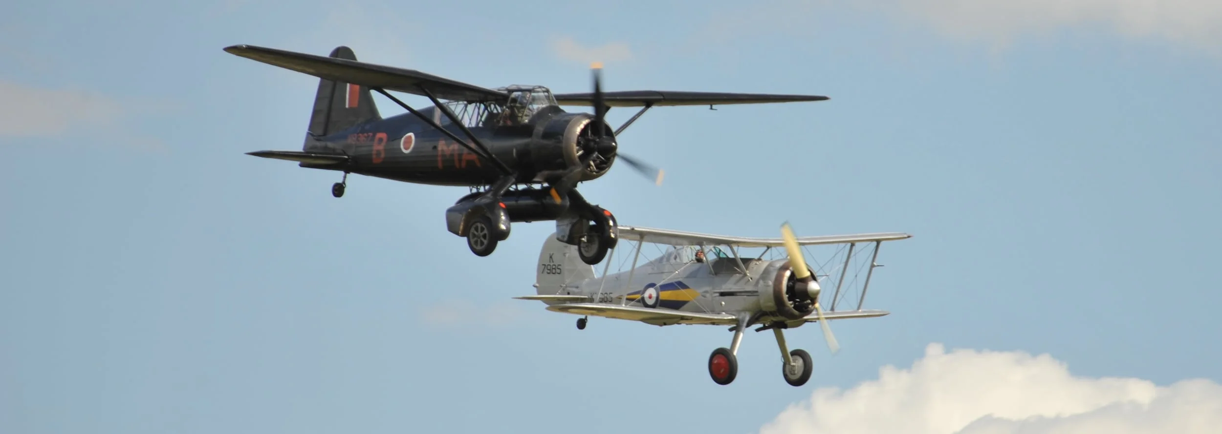 VF3_1441a.JPG