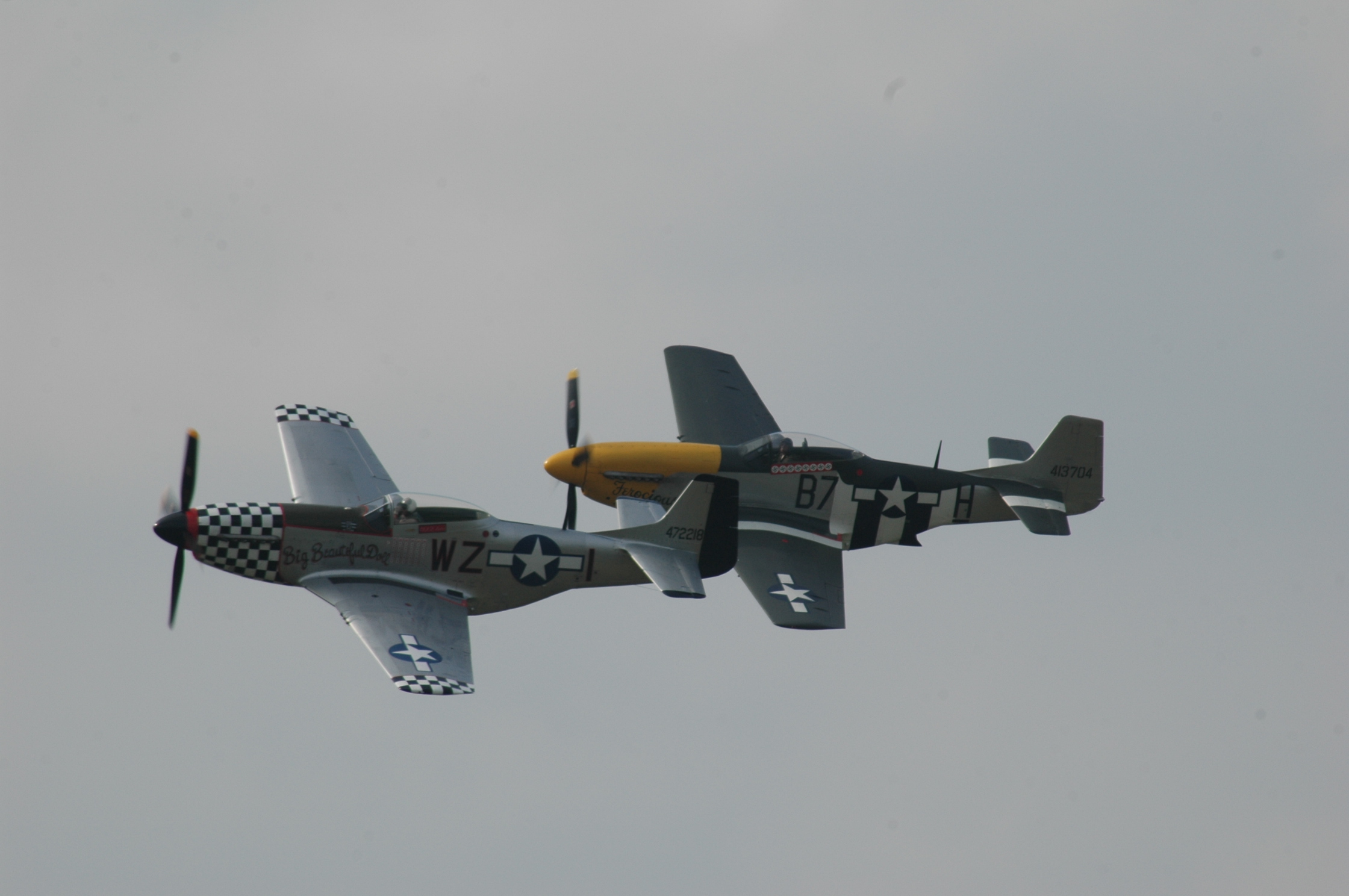 DSC_2490.JPG