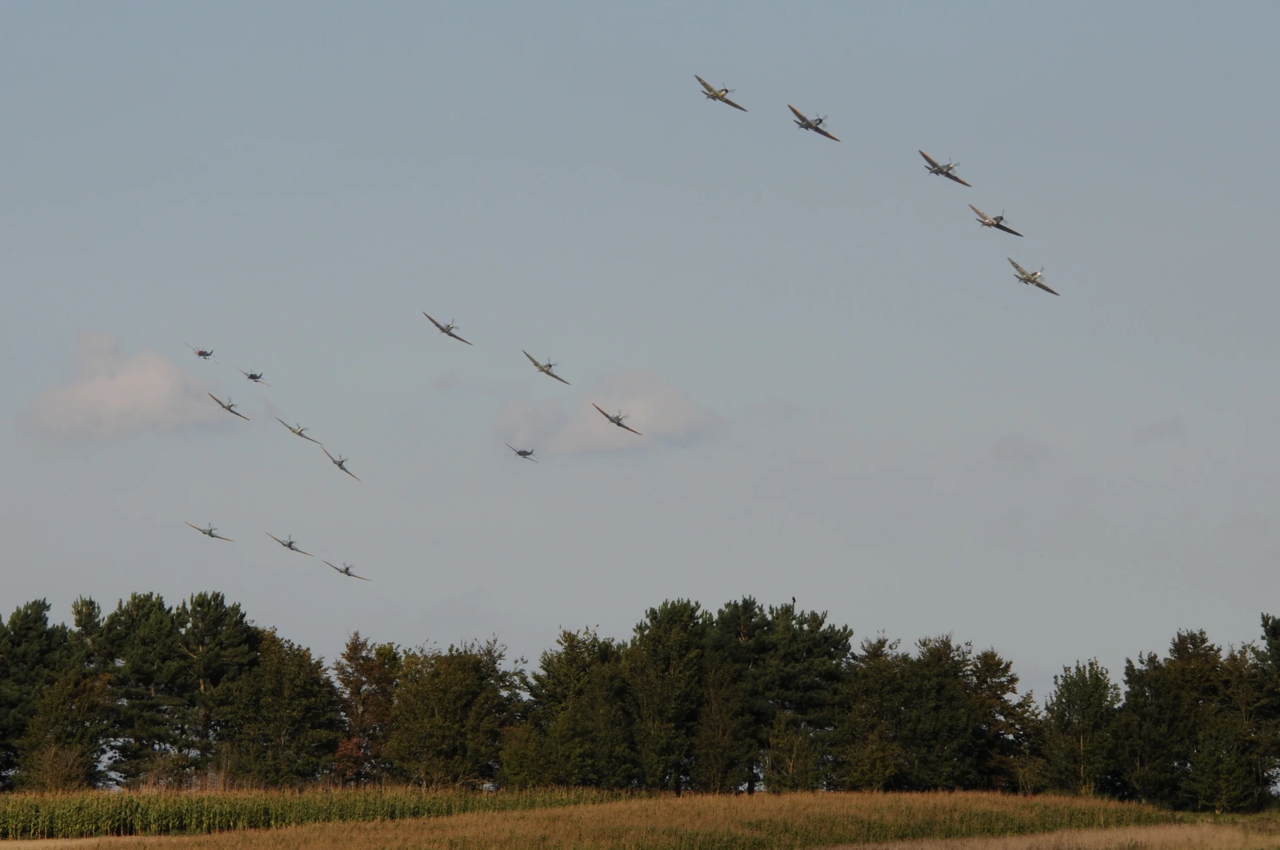 DSC_5348.JPG