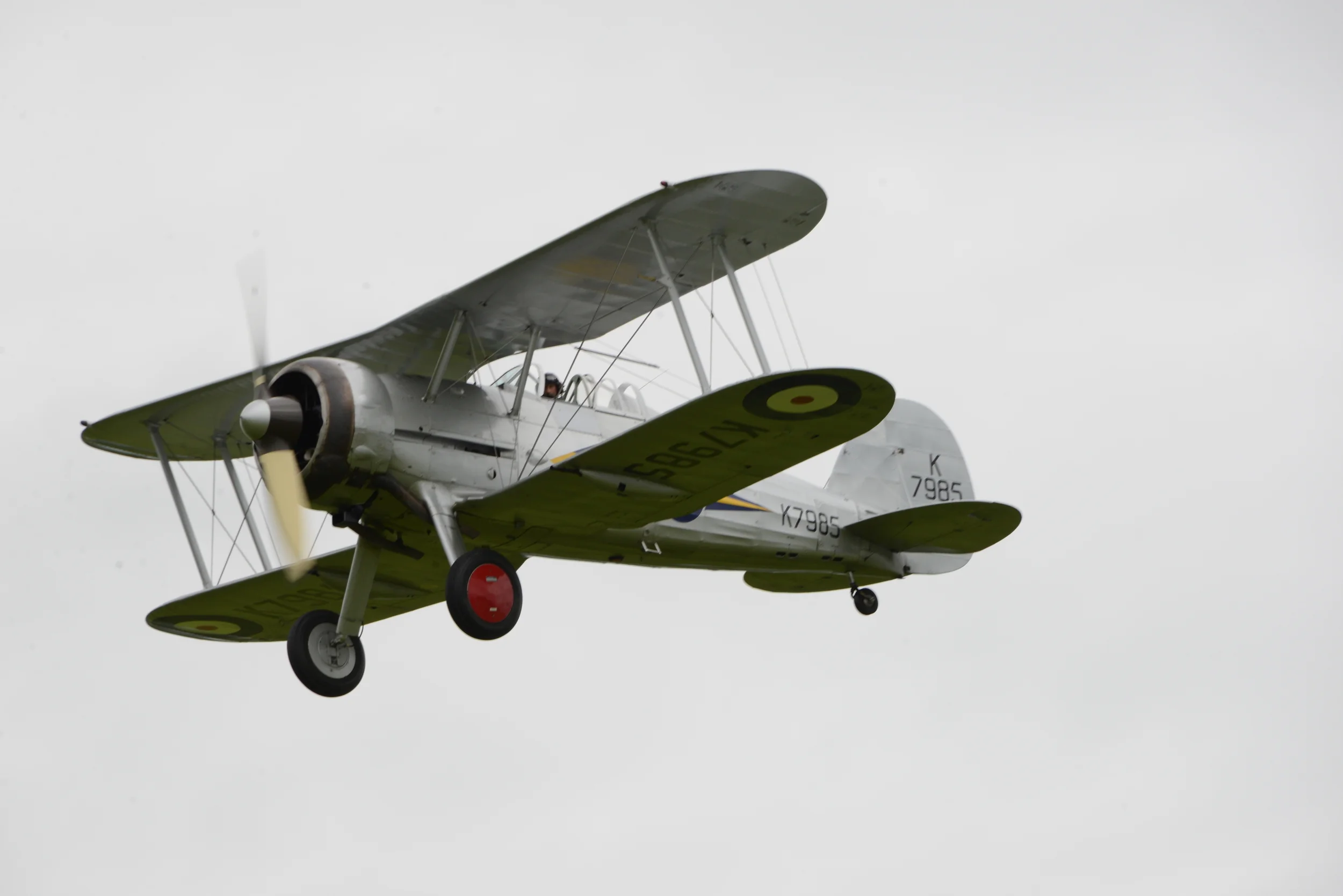 DSC_5529.JPG