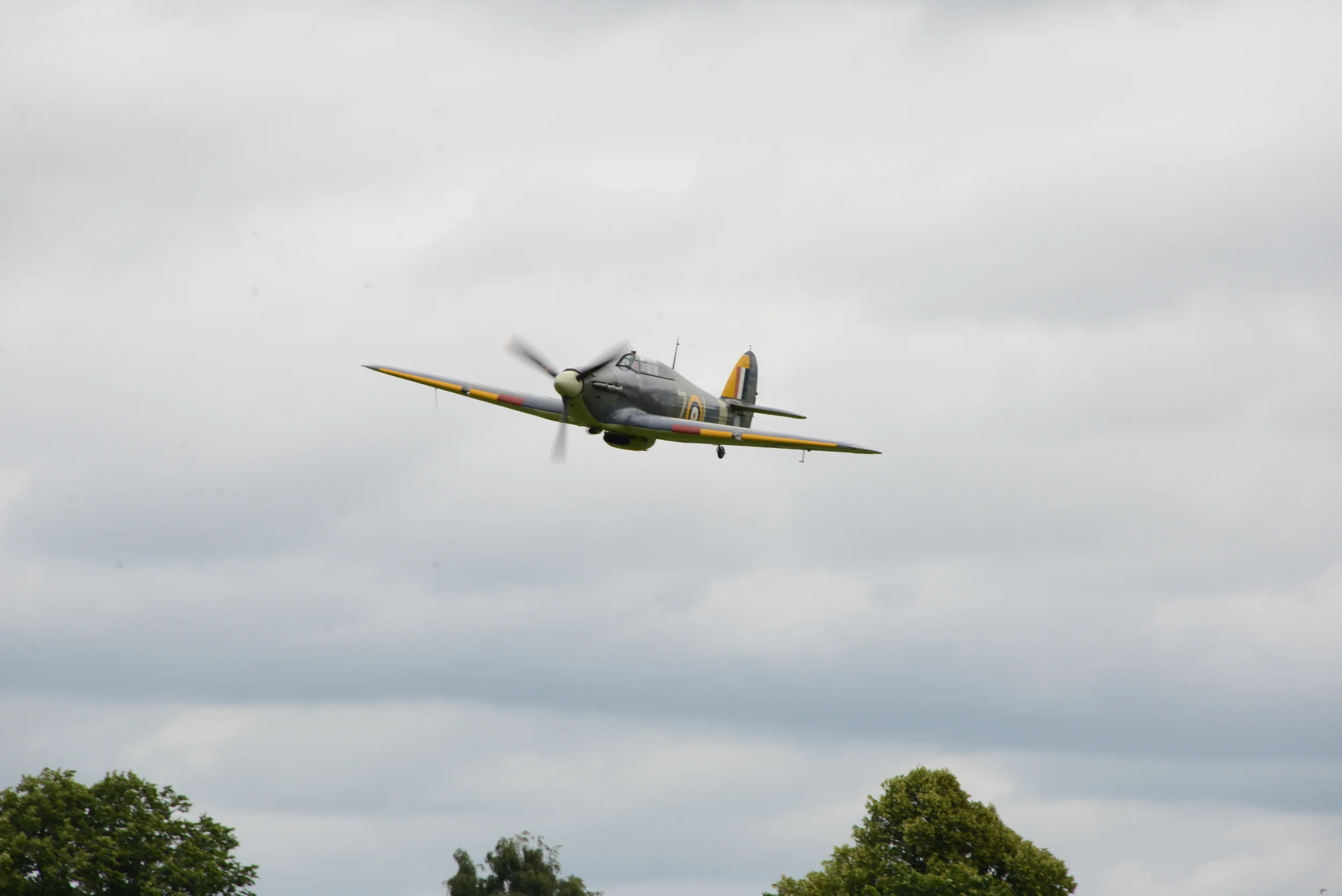 DSC_5563.JPG