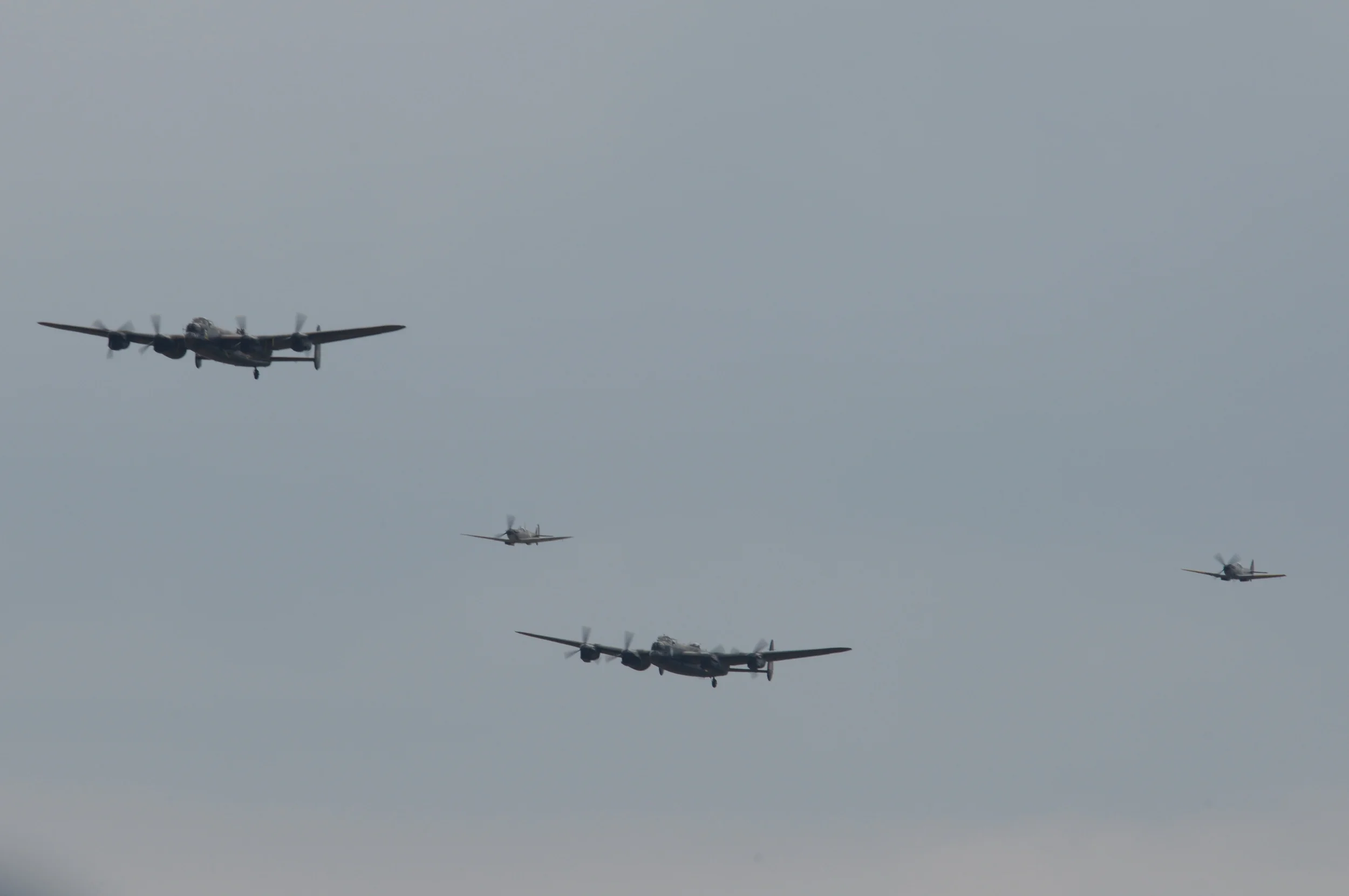 DSC_7271.JPG
