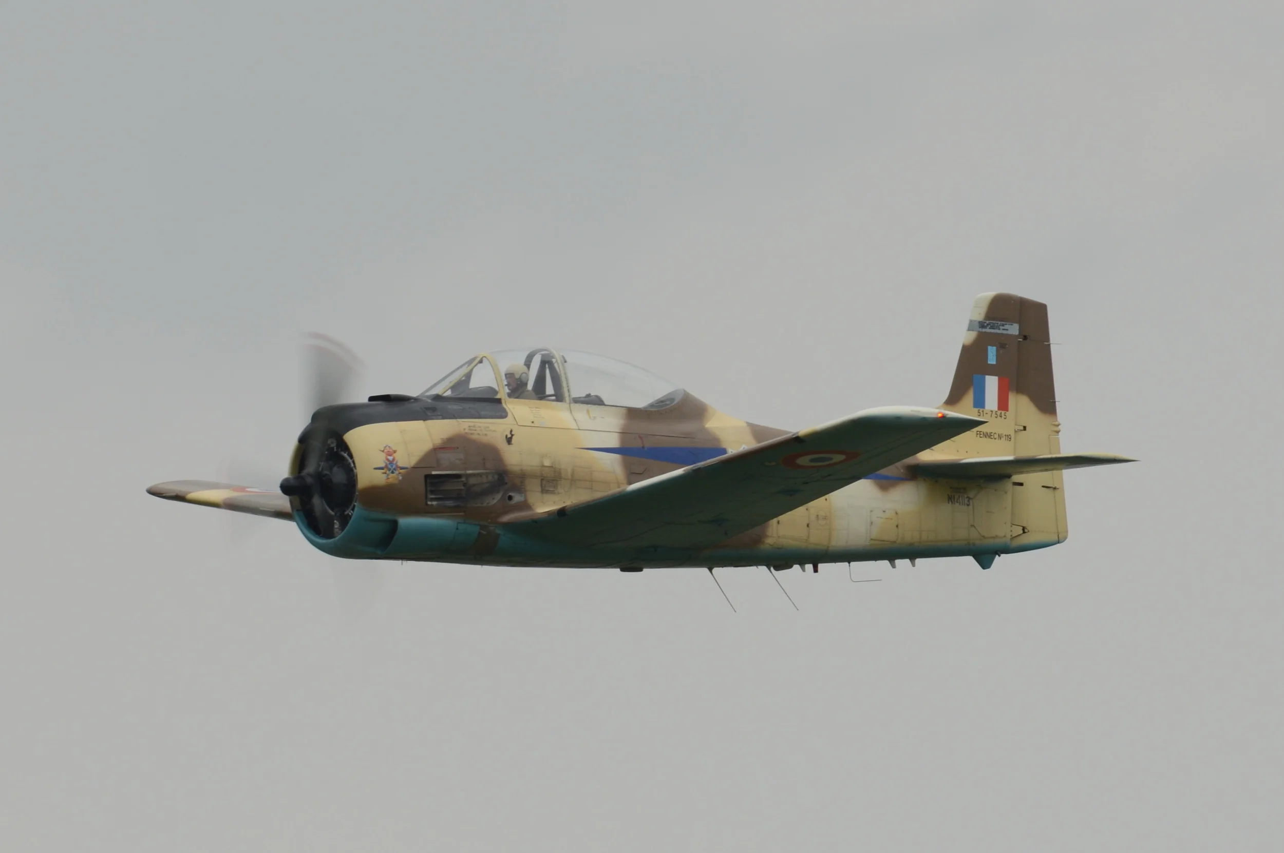DSC_7504.JPG