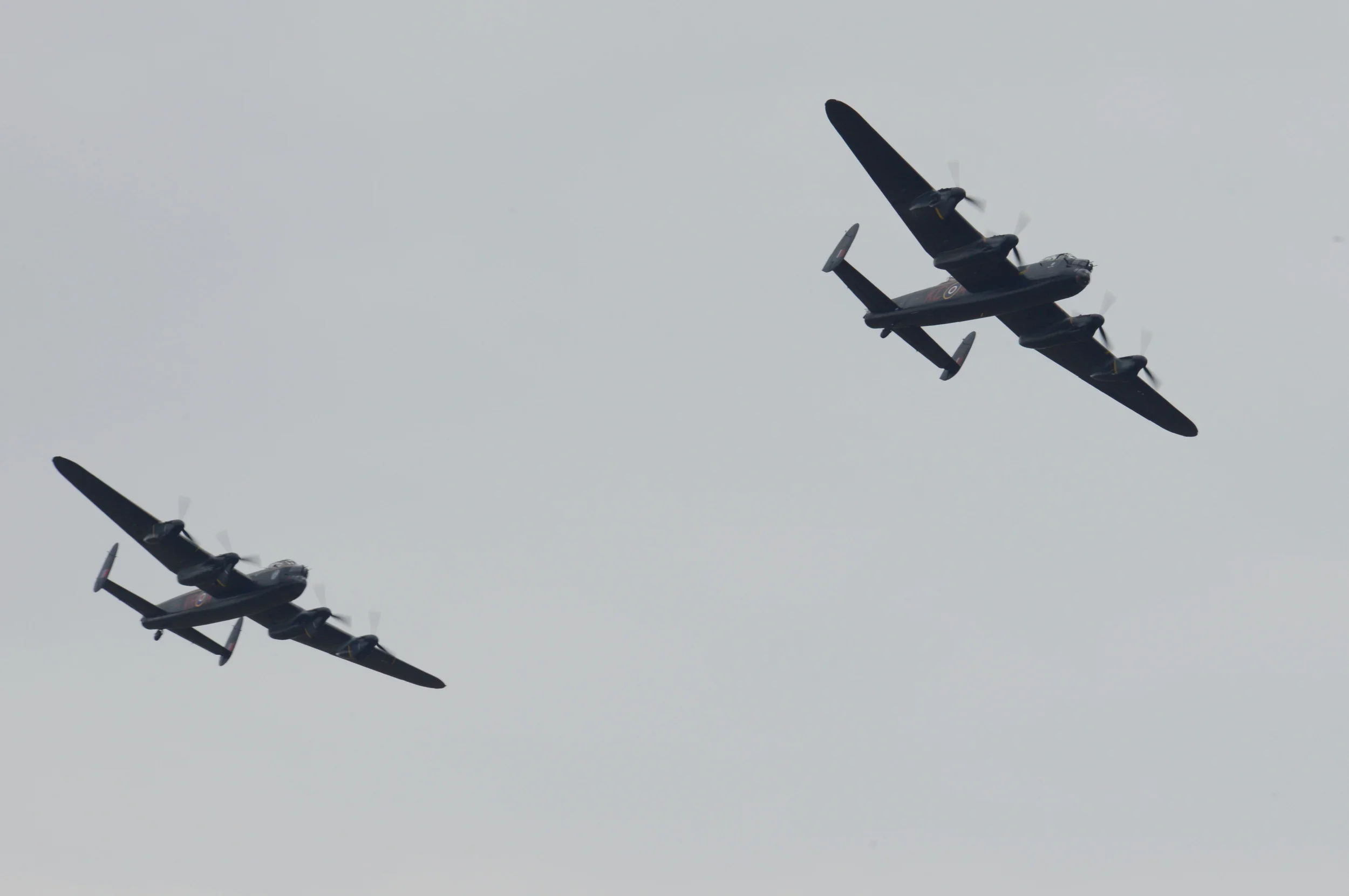 DSC_7297.JPG