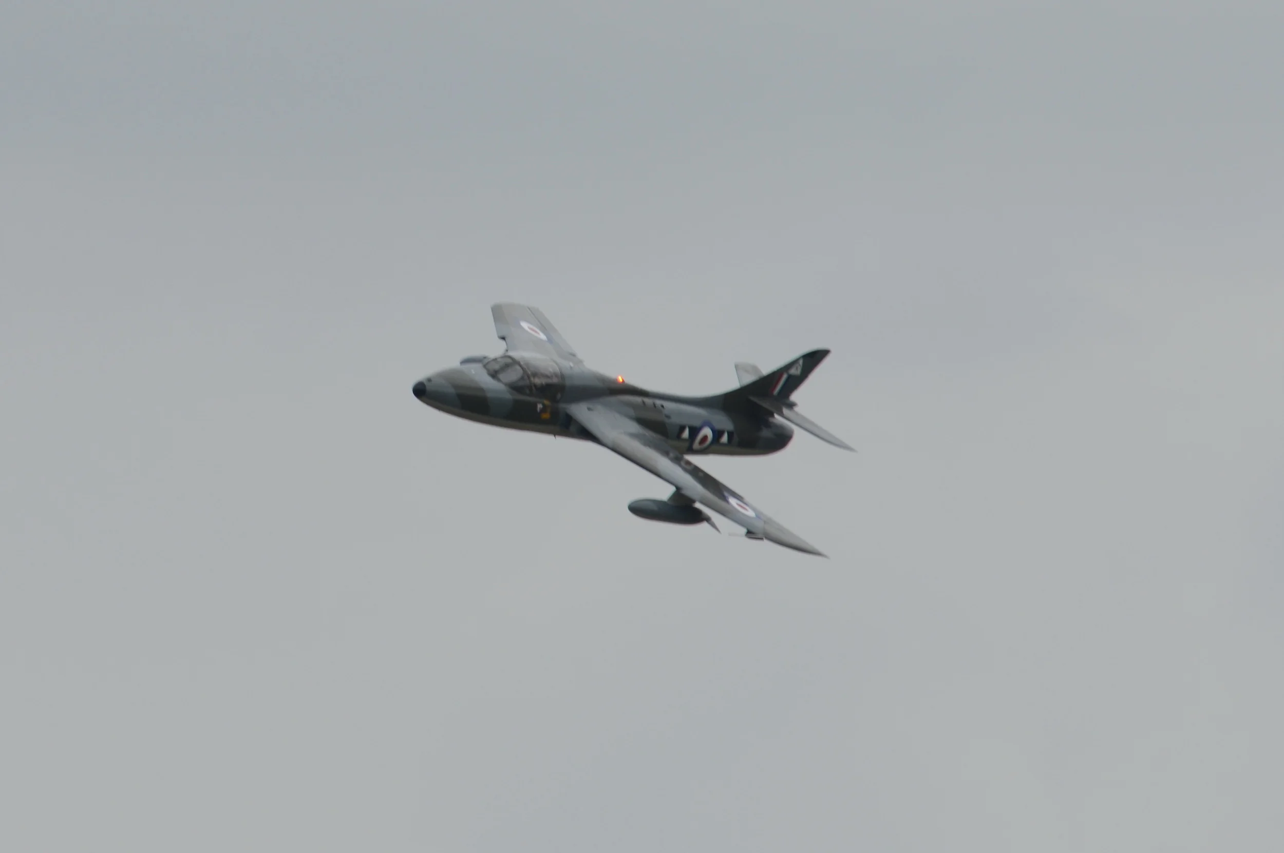 DSC_7576.JPG