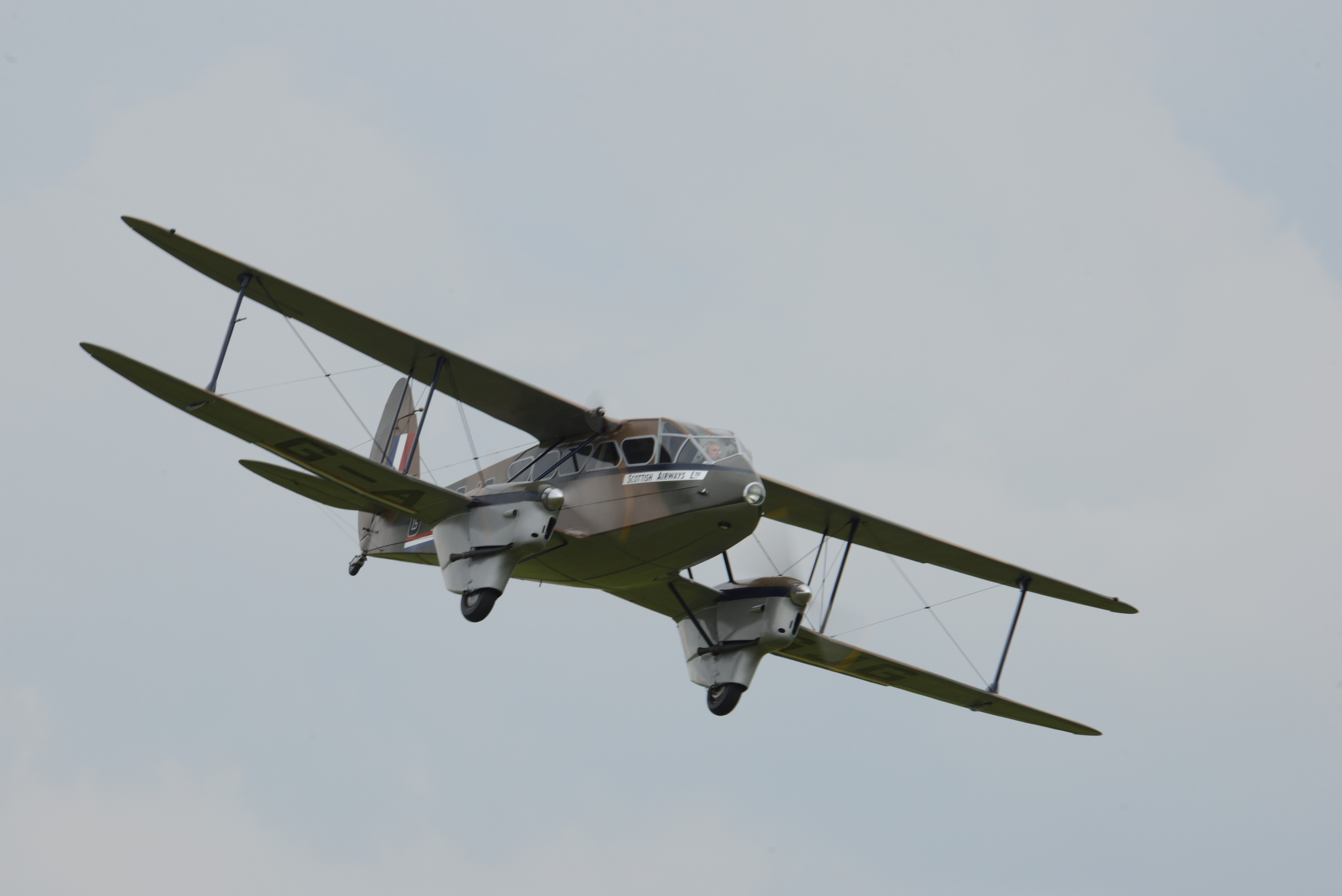 DSC_7675.JPG