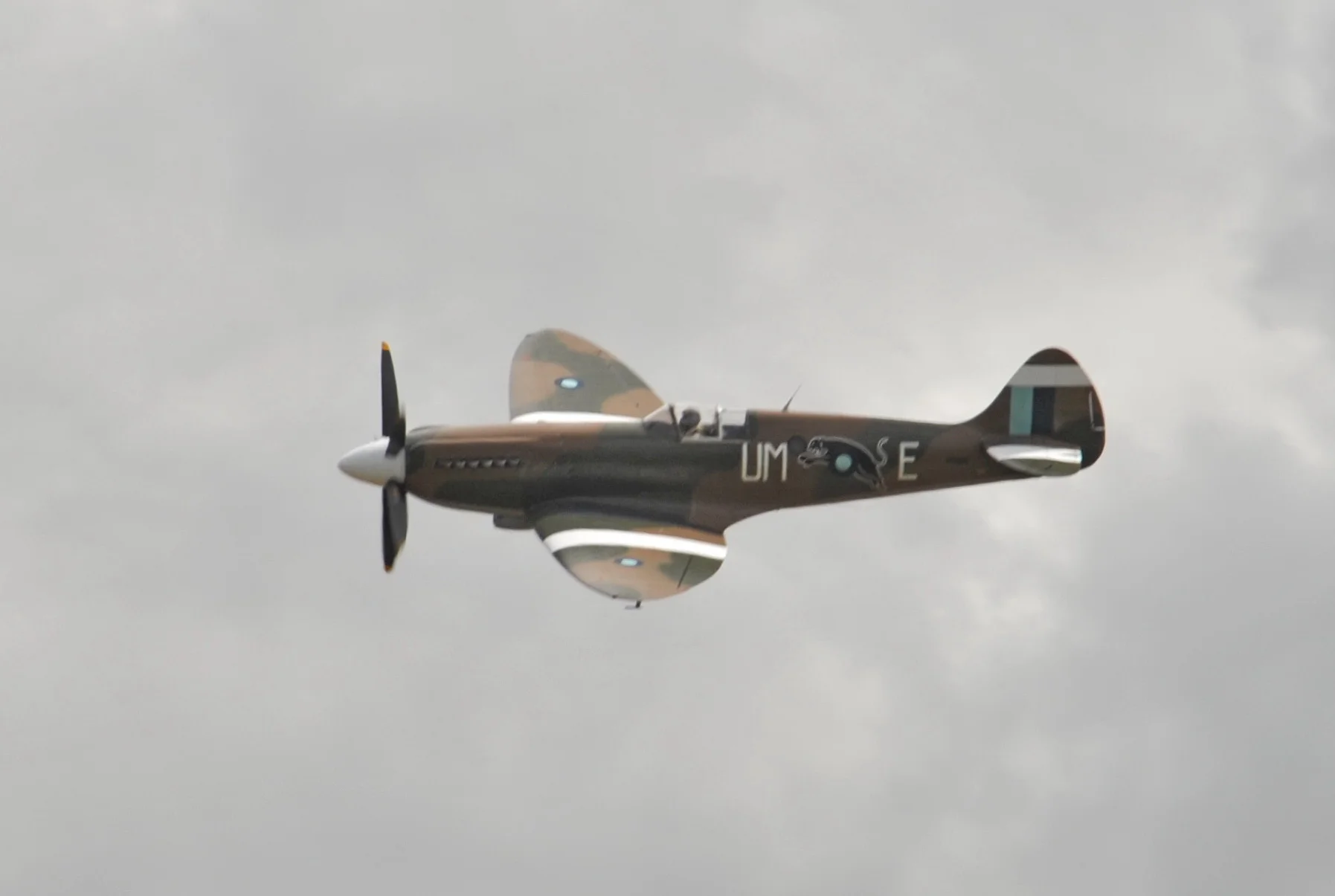 VF3_1226.jpg