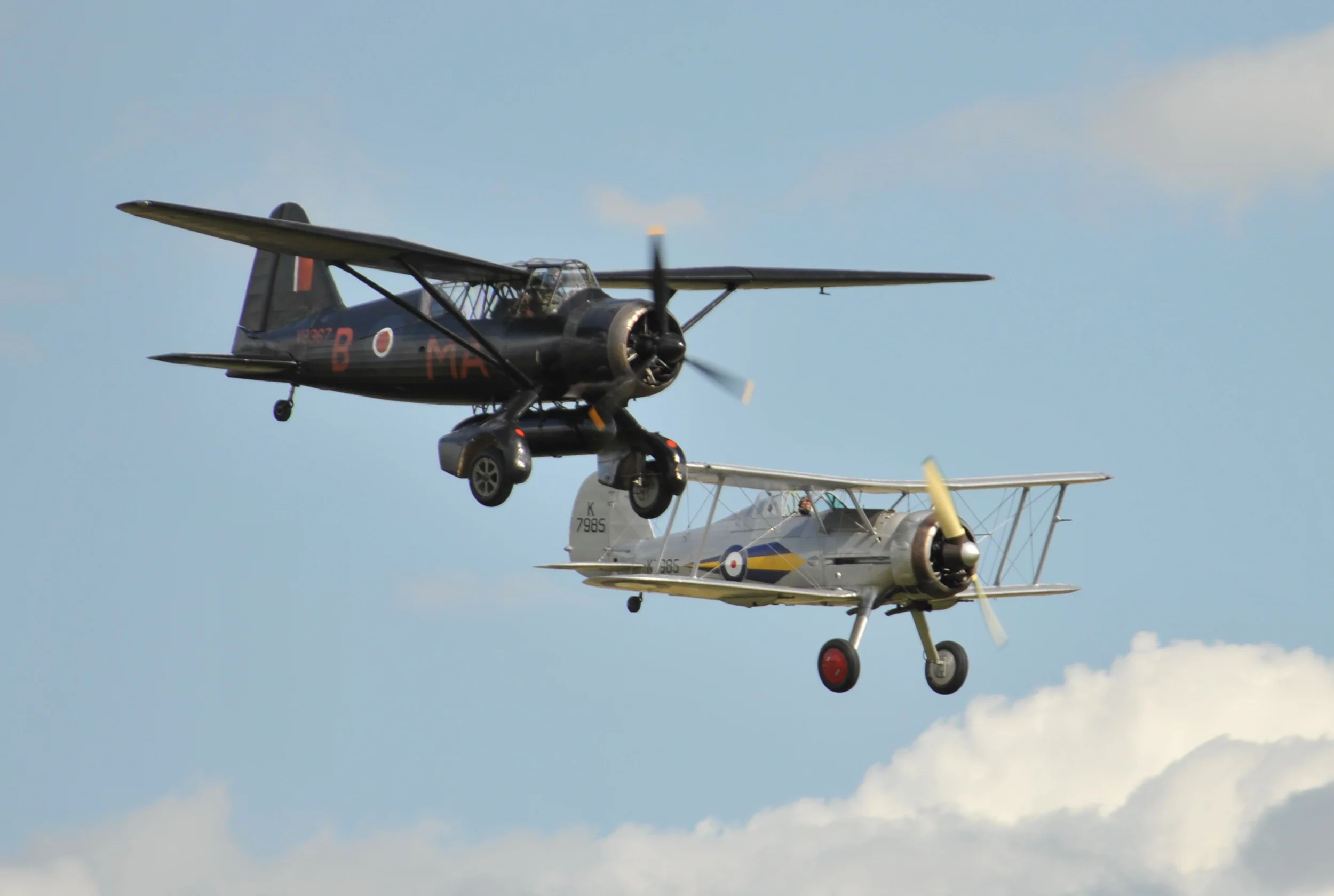 VF3_1441.JPG
