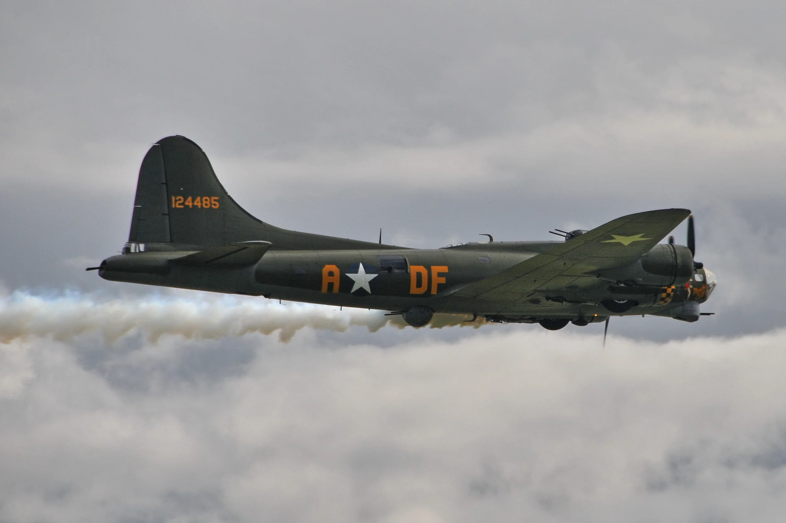 VF3_1921.jpg