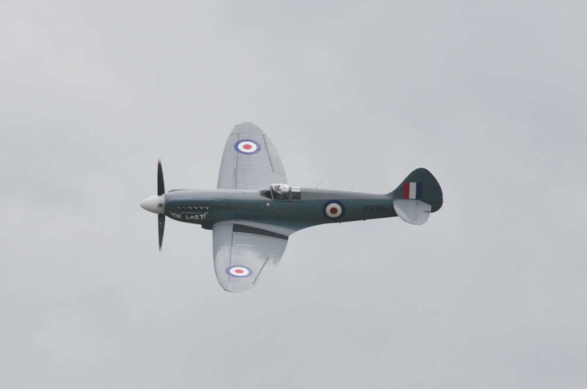 VF3_8832.JPG