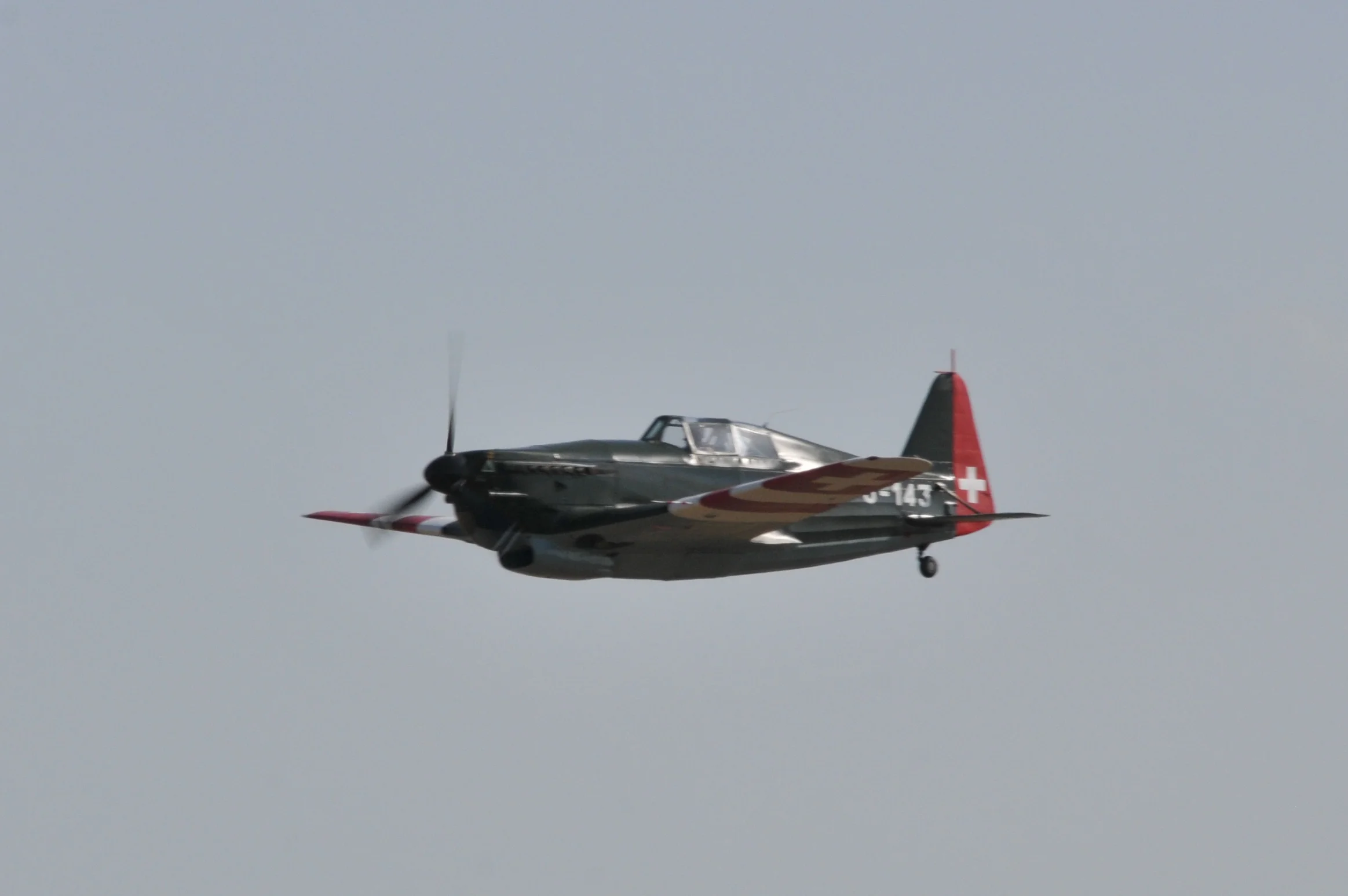 VF4_8799.JPG
