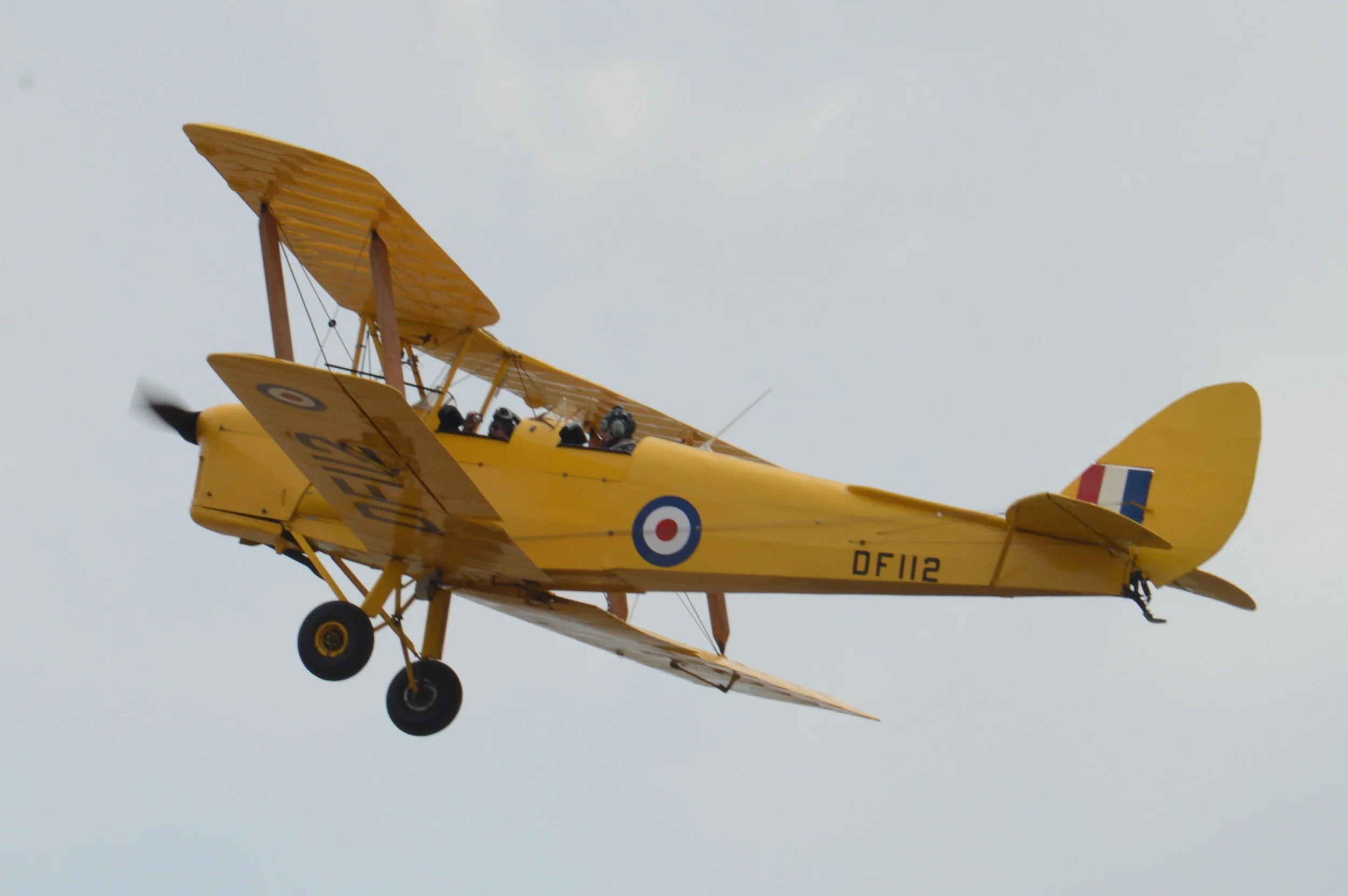 VF6_0809.JPG