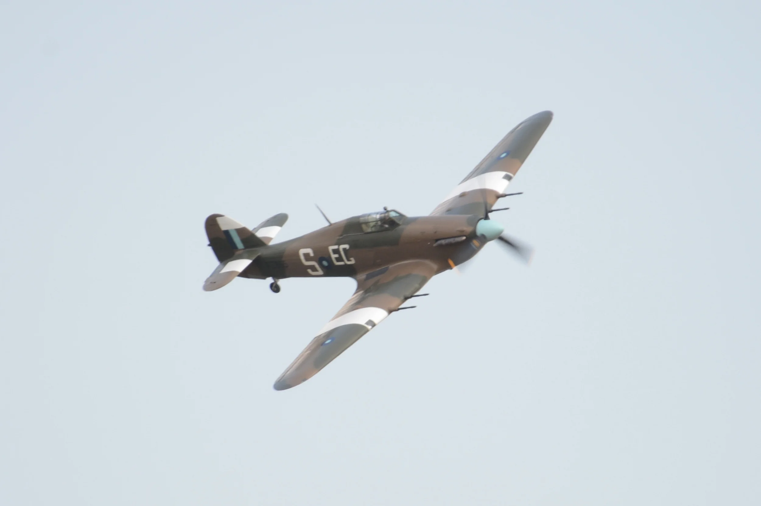 VF6_1306.JPG