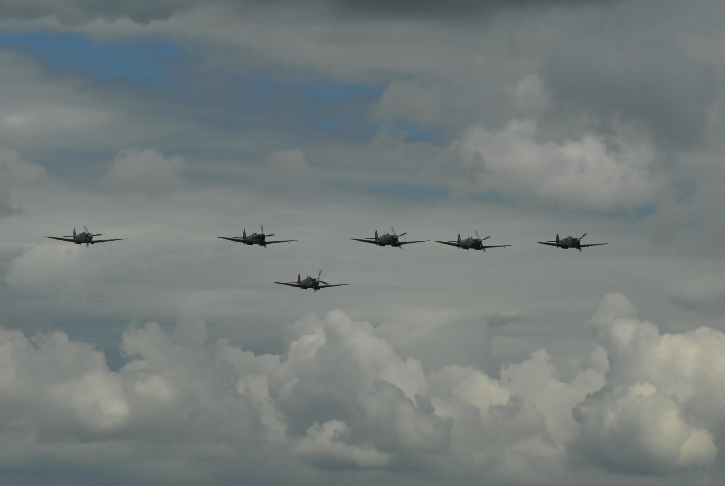 VFA_0796.JPG