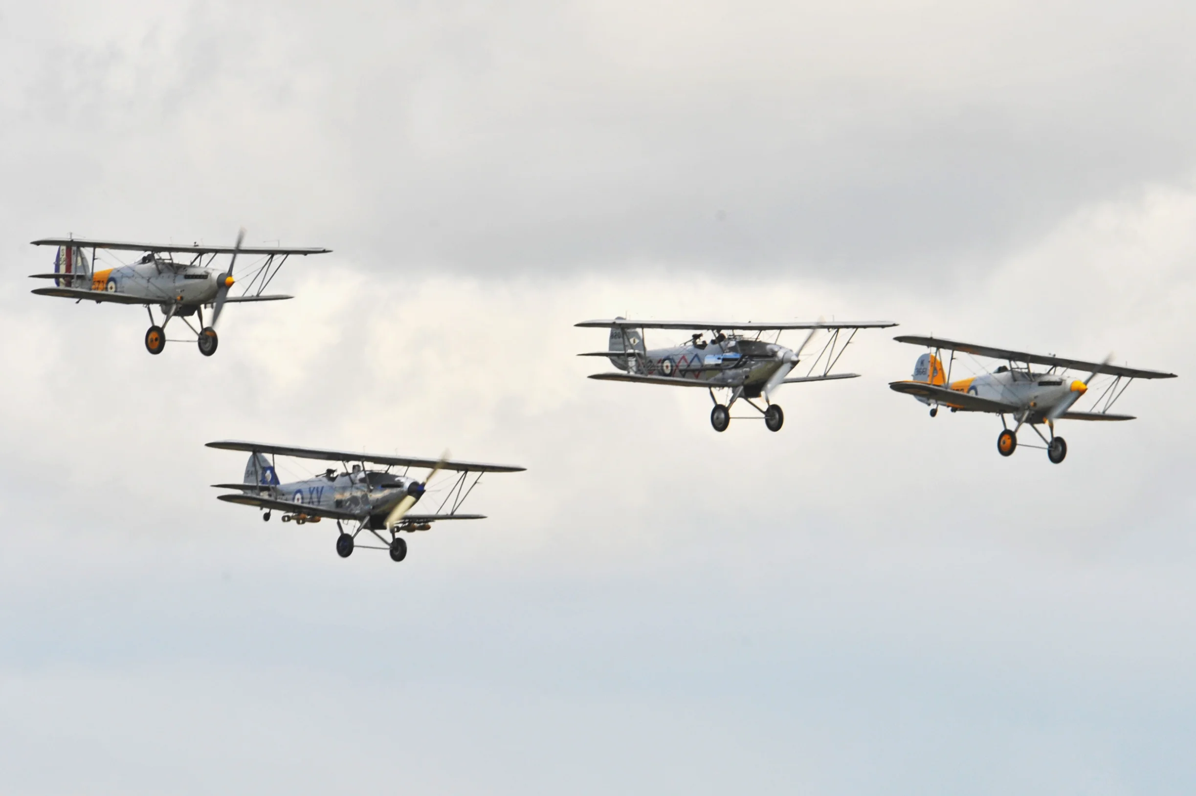 VF3_3774.jpg