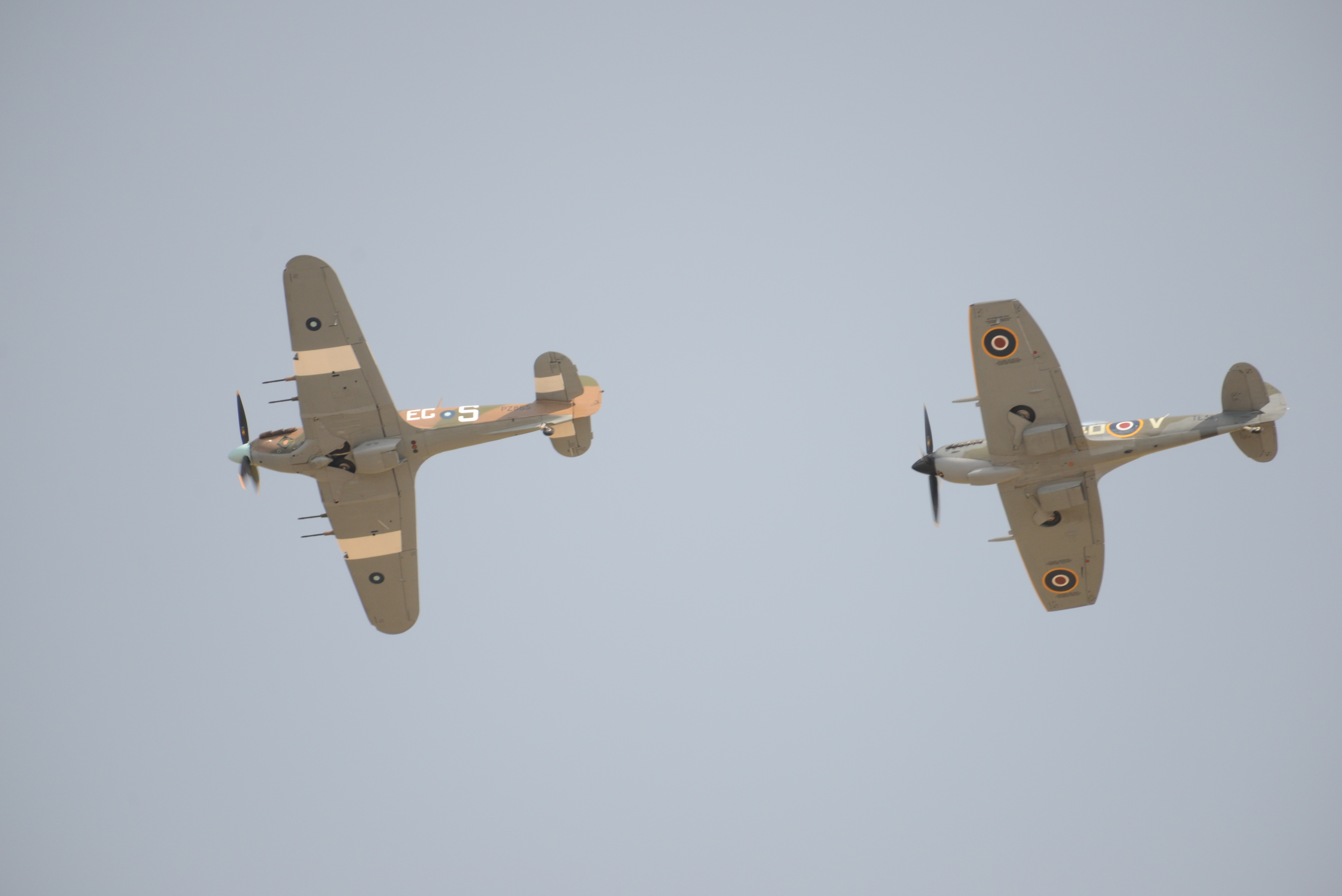 VF6_1292.JPG