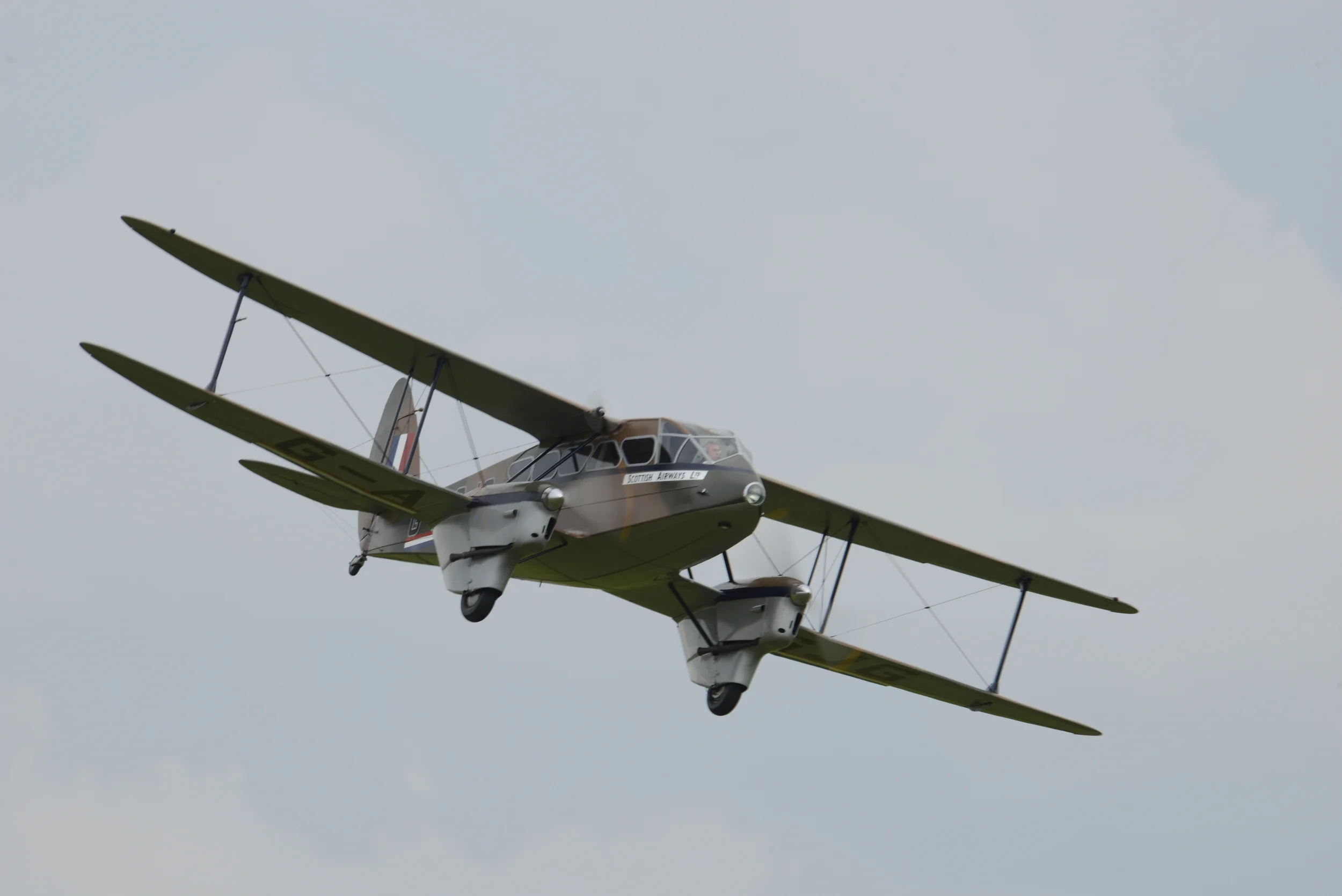 DSC_7675.JPG