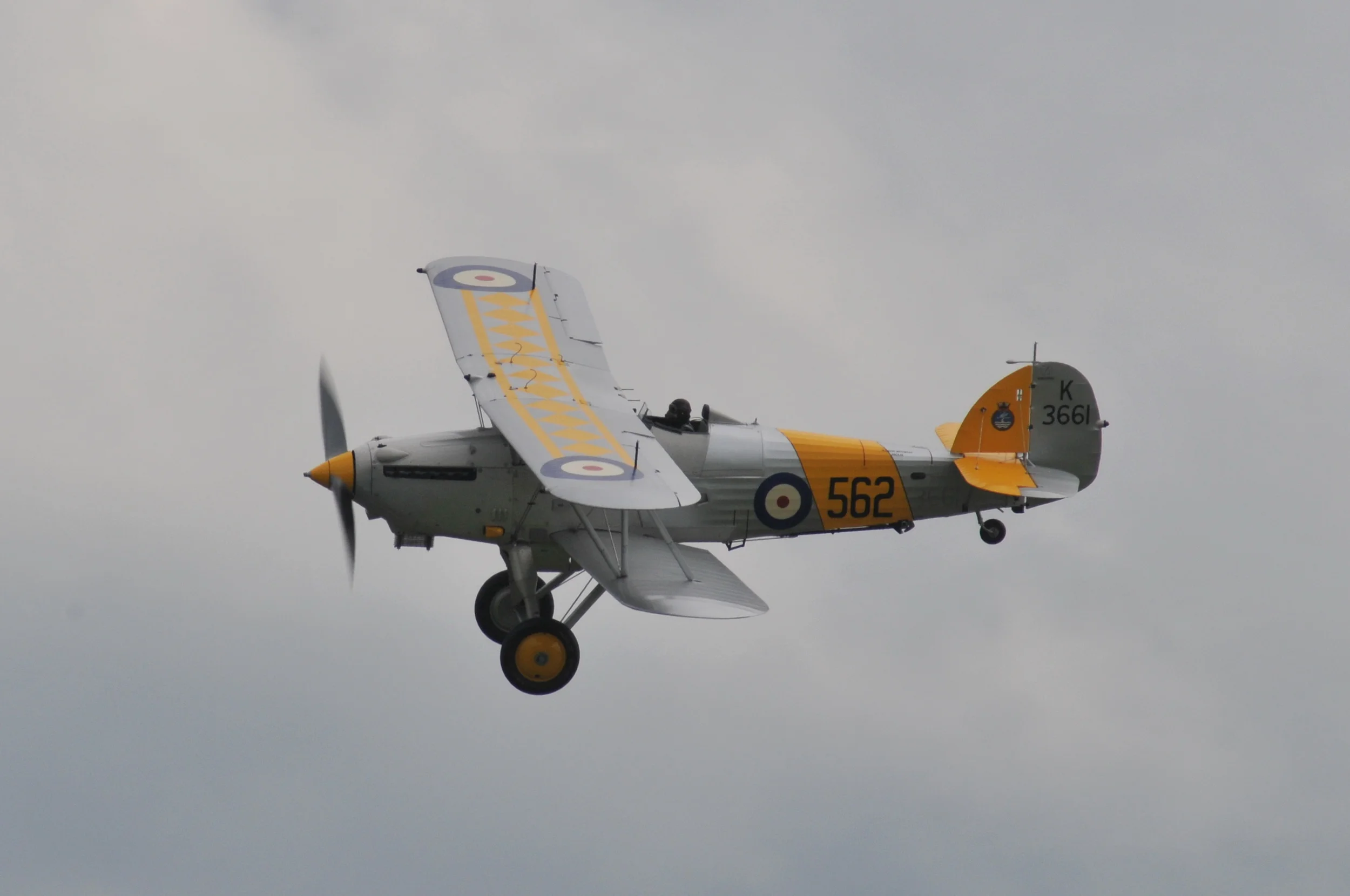 VF3_8961.JPG