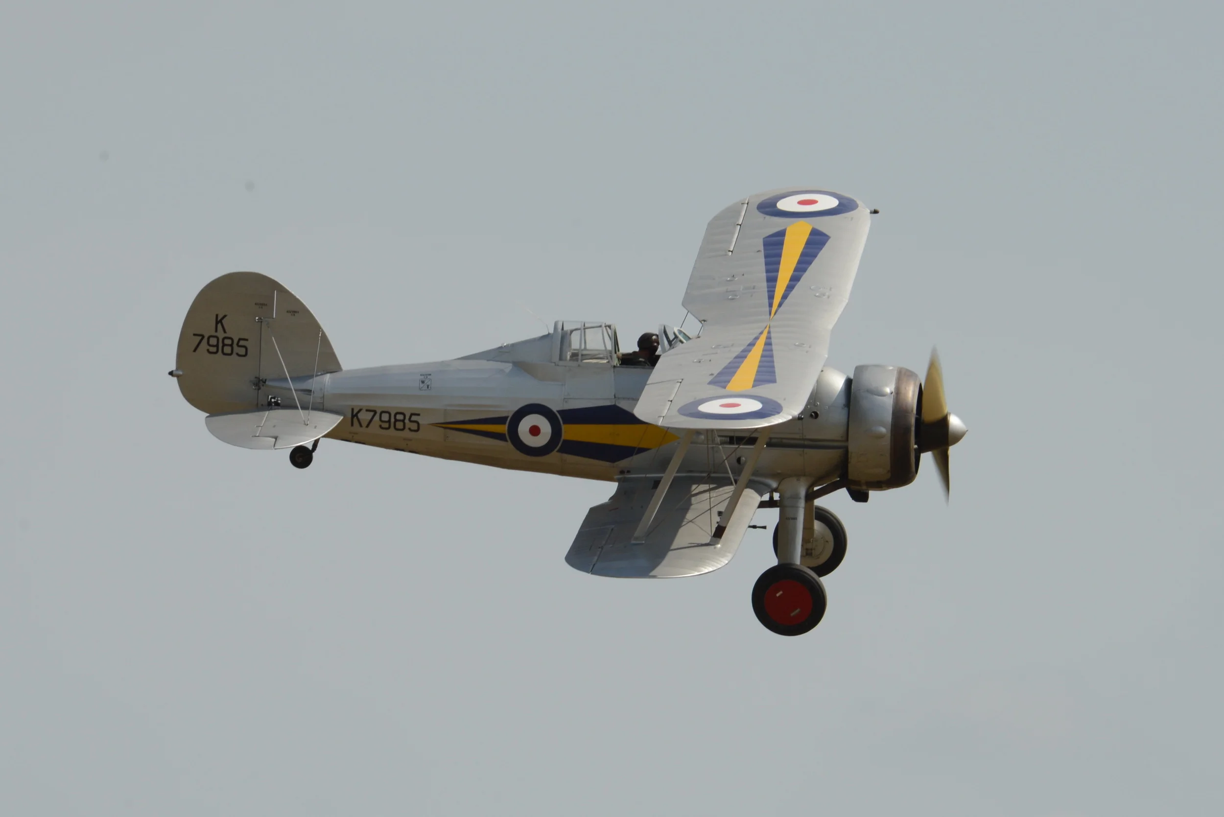 VF6_1170.JPG