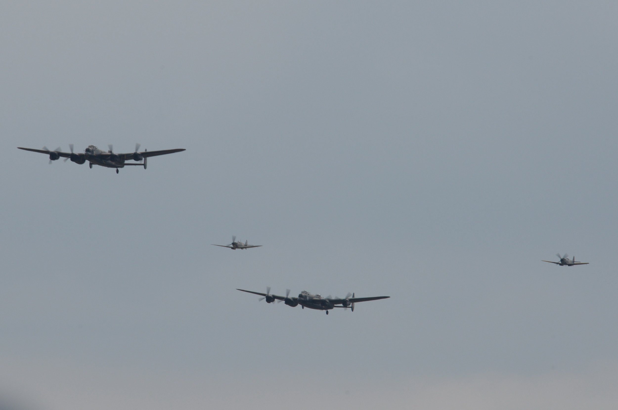 DSC_7271.JPG