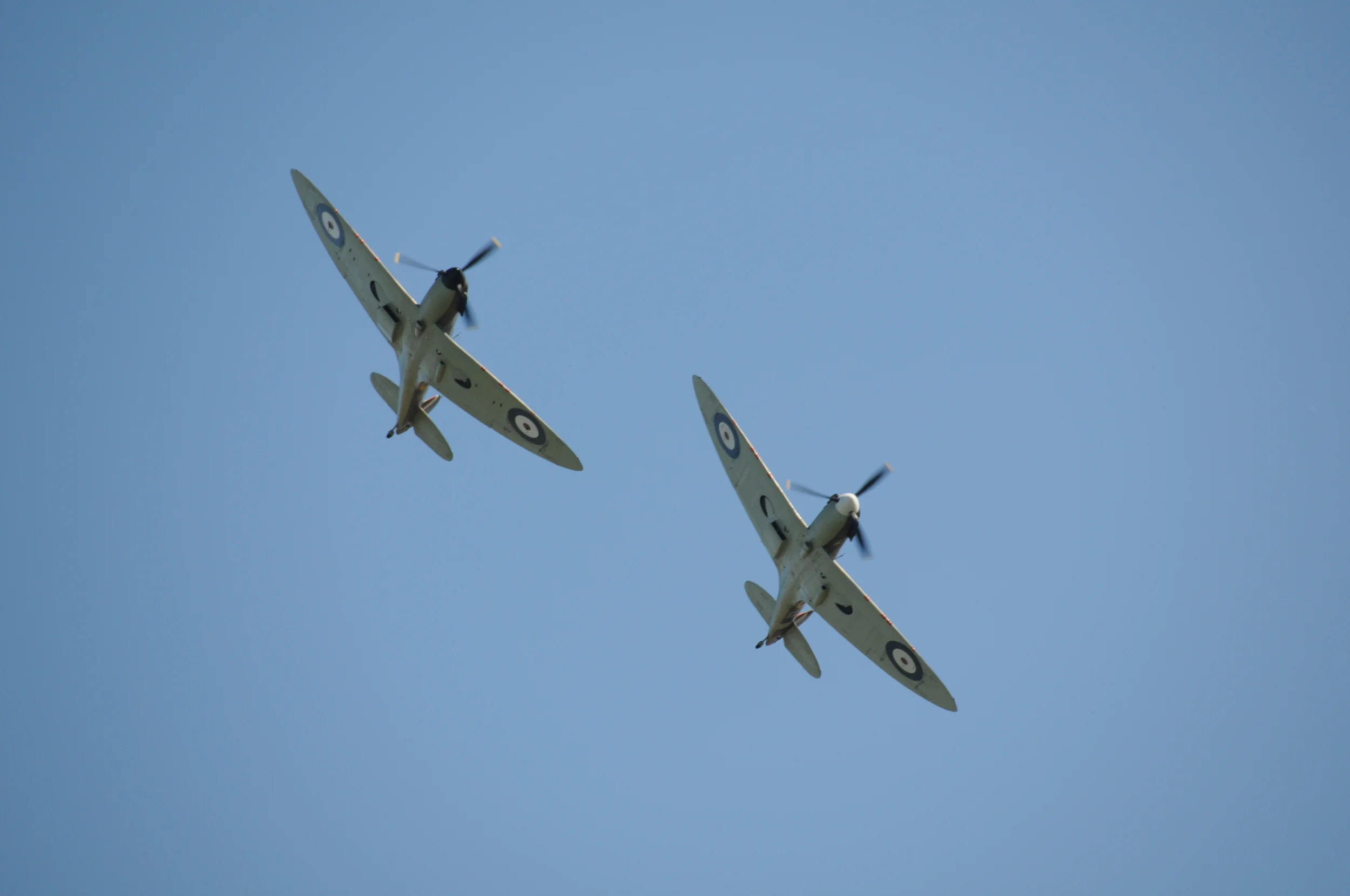 DSC_5123.JPG