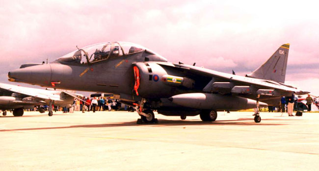 Like its single seat counterpart the trainer came in two finishes - moss green or grey. Here is grey Mk 10 ZH656/104 of 3 Sqn in 1998 (Author)