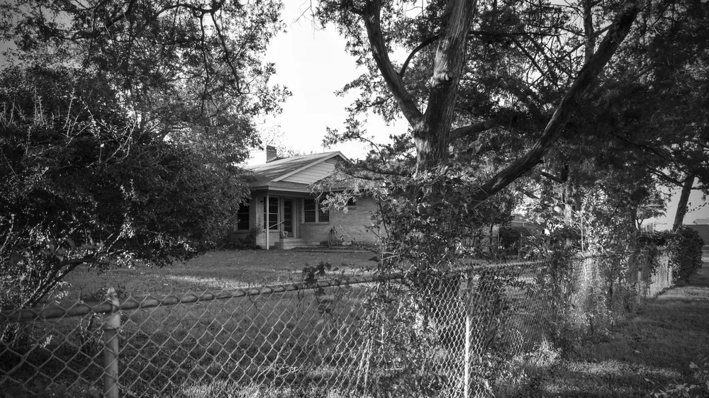 the house as seen through "the forest"