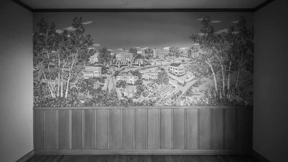 the dining room wallpaper