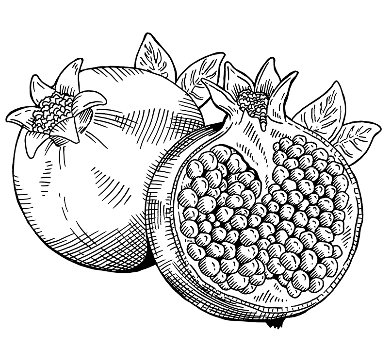 MDWAP_3_Pomegranate_small.jpg