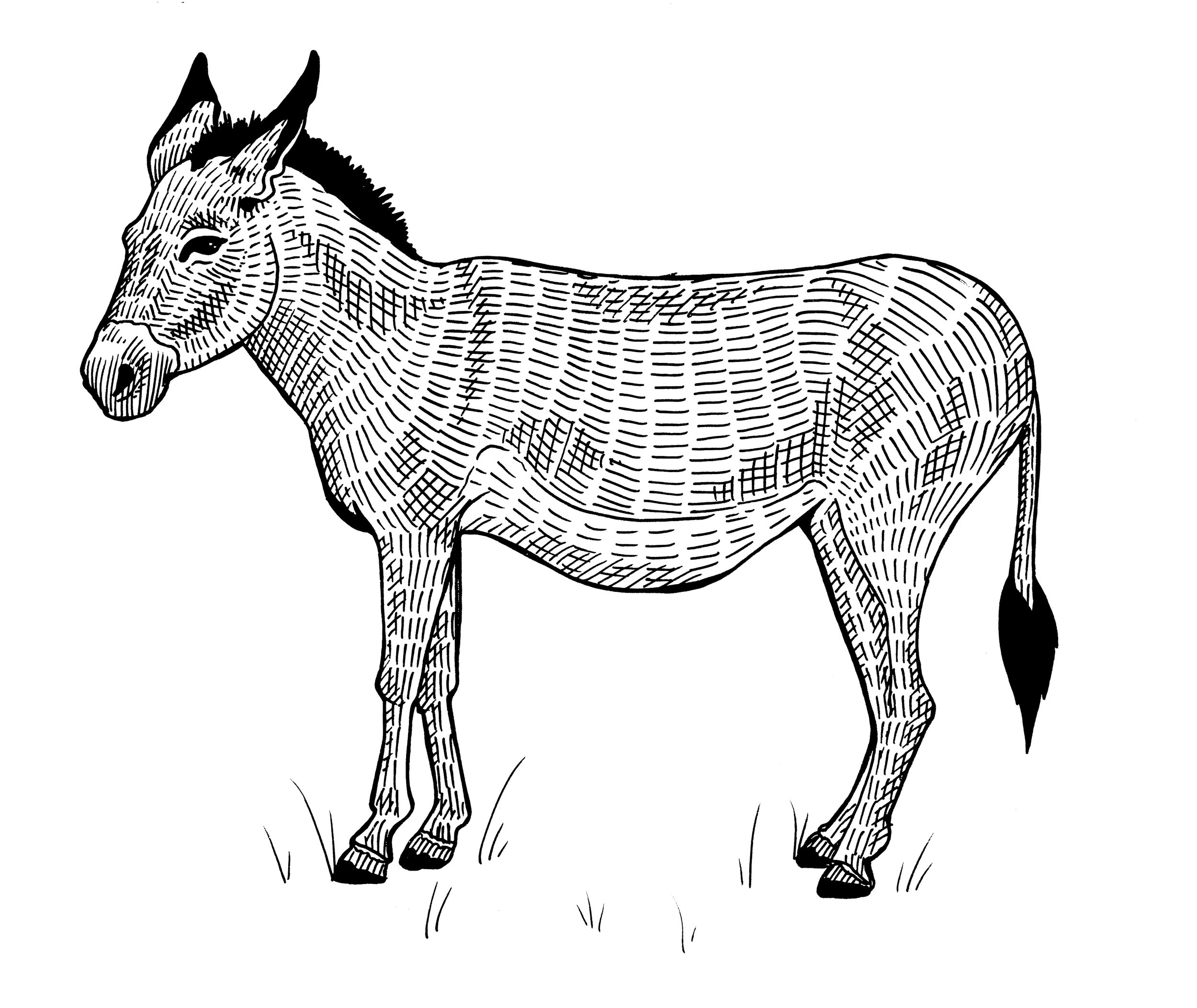 MDWAP_8_Donkey.jpg