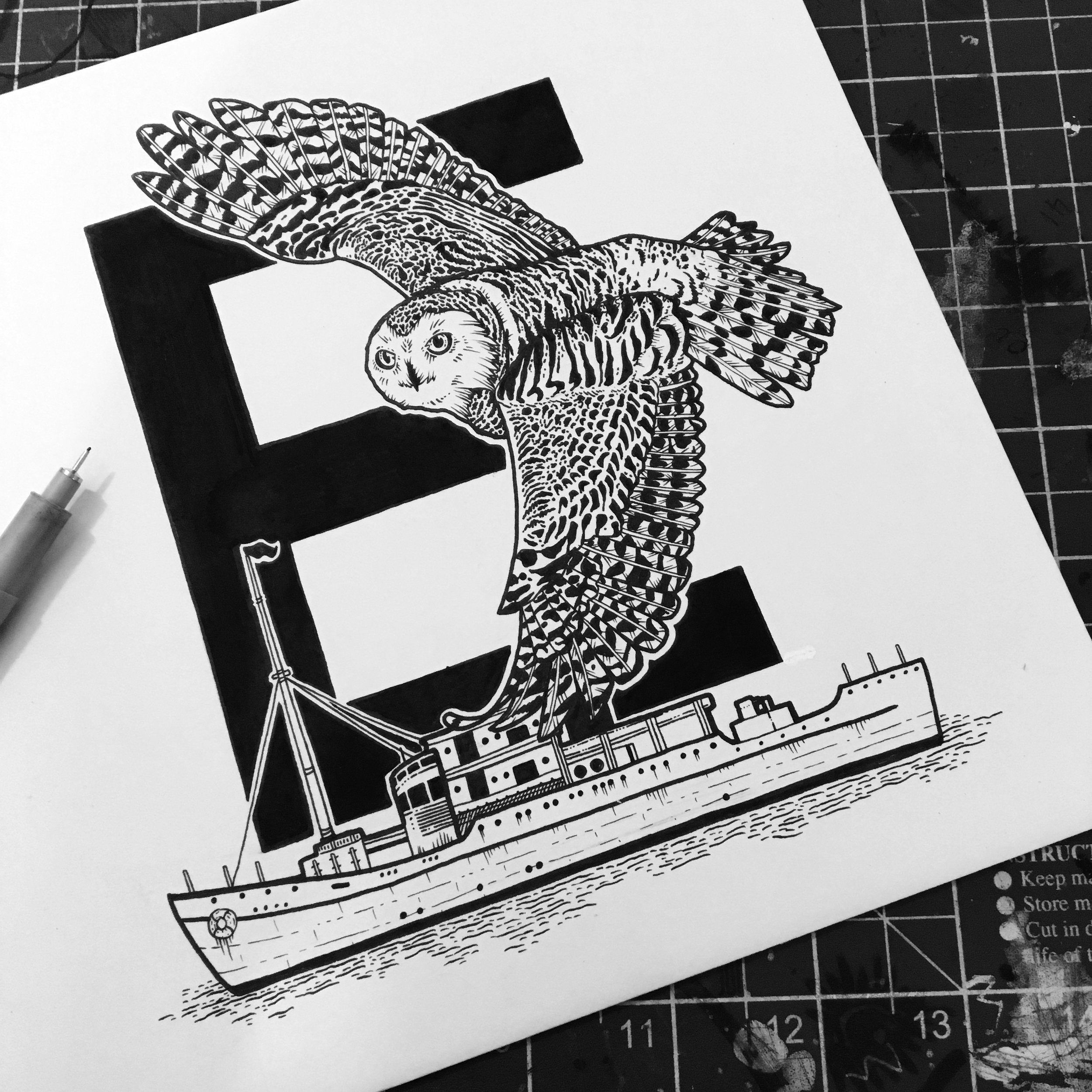  Eros the Snowy Owl - in 1950 he became exhausted and fell on the deck of HMS Eros off the Azores.  