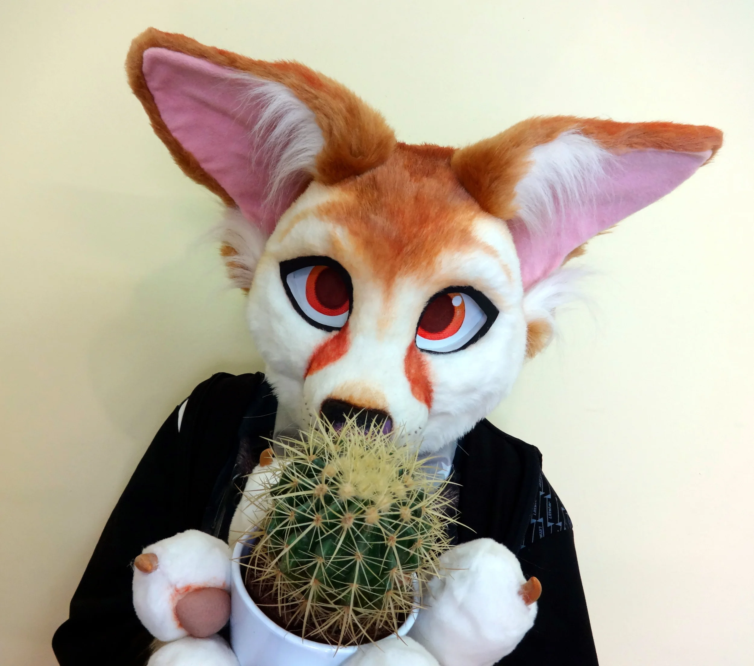 Fennec