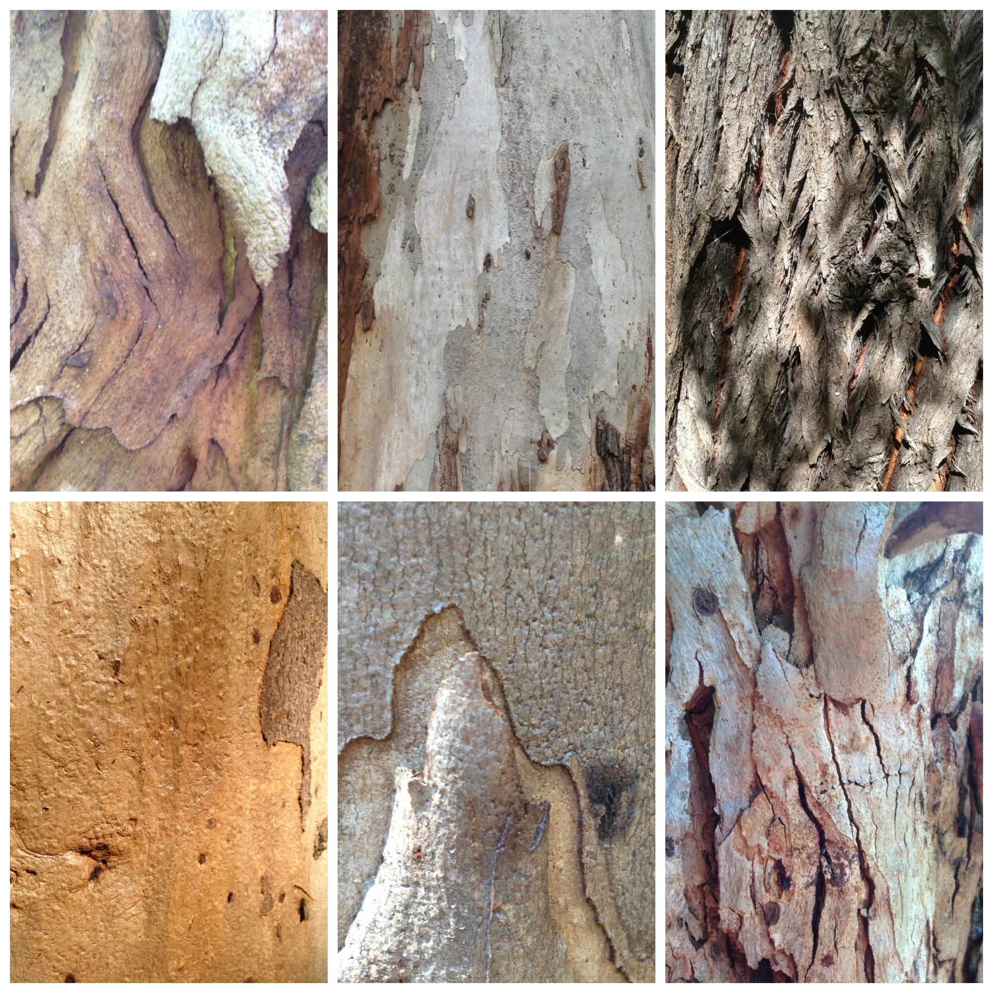 walking and creativity: paying attention