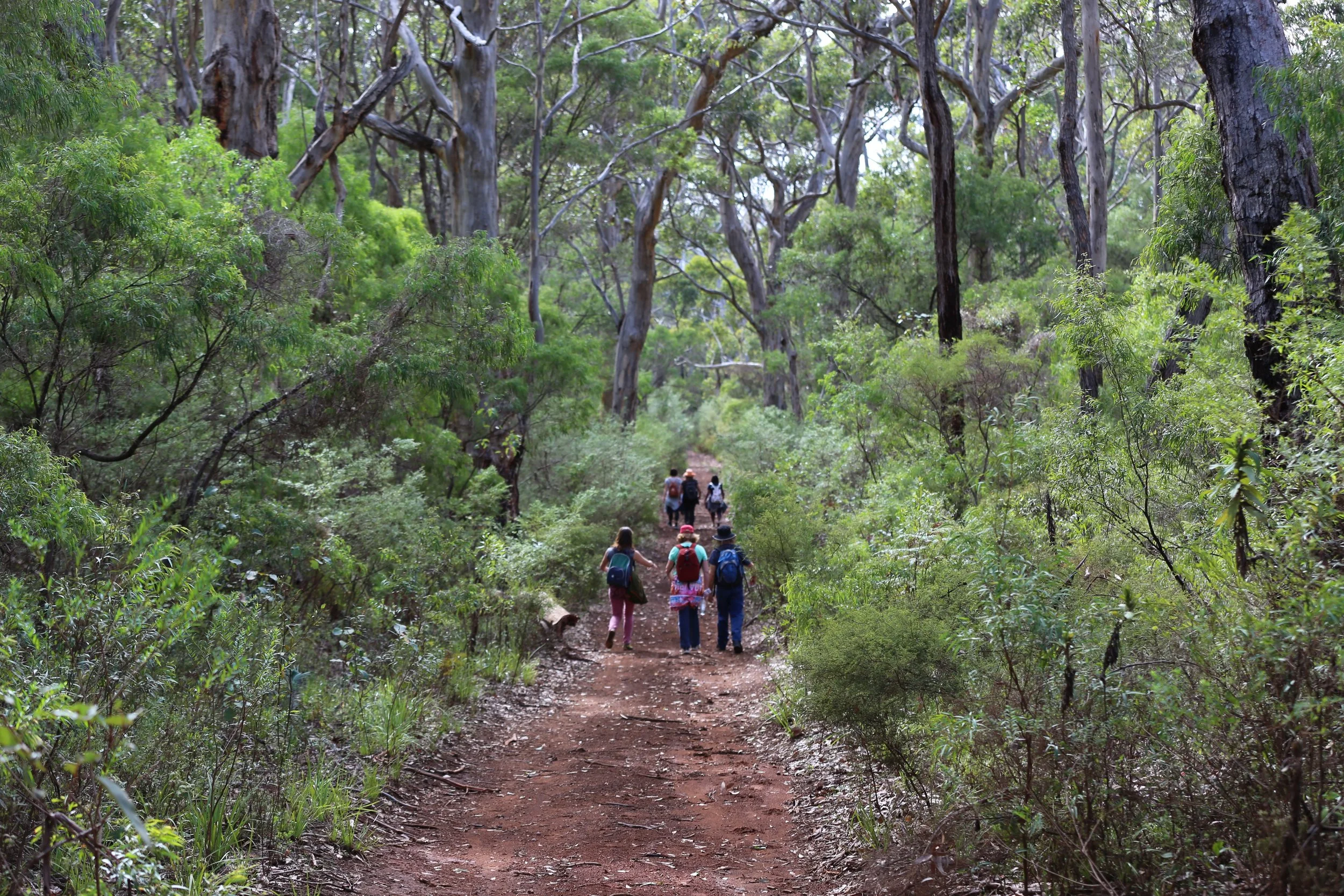 KarriforestCapetoCape.jpg
