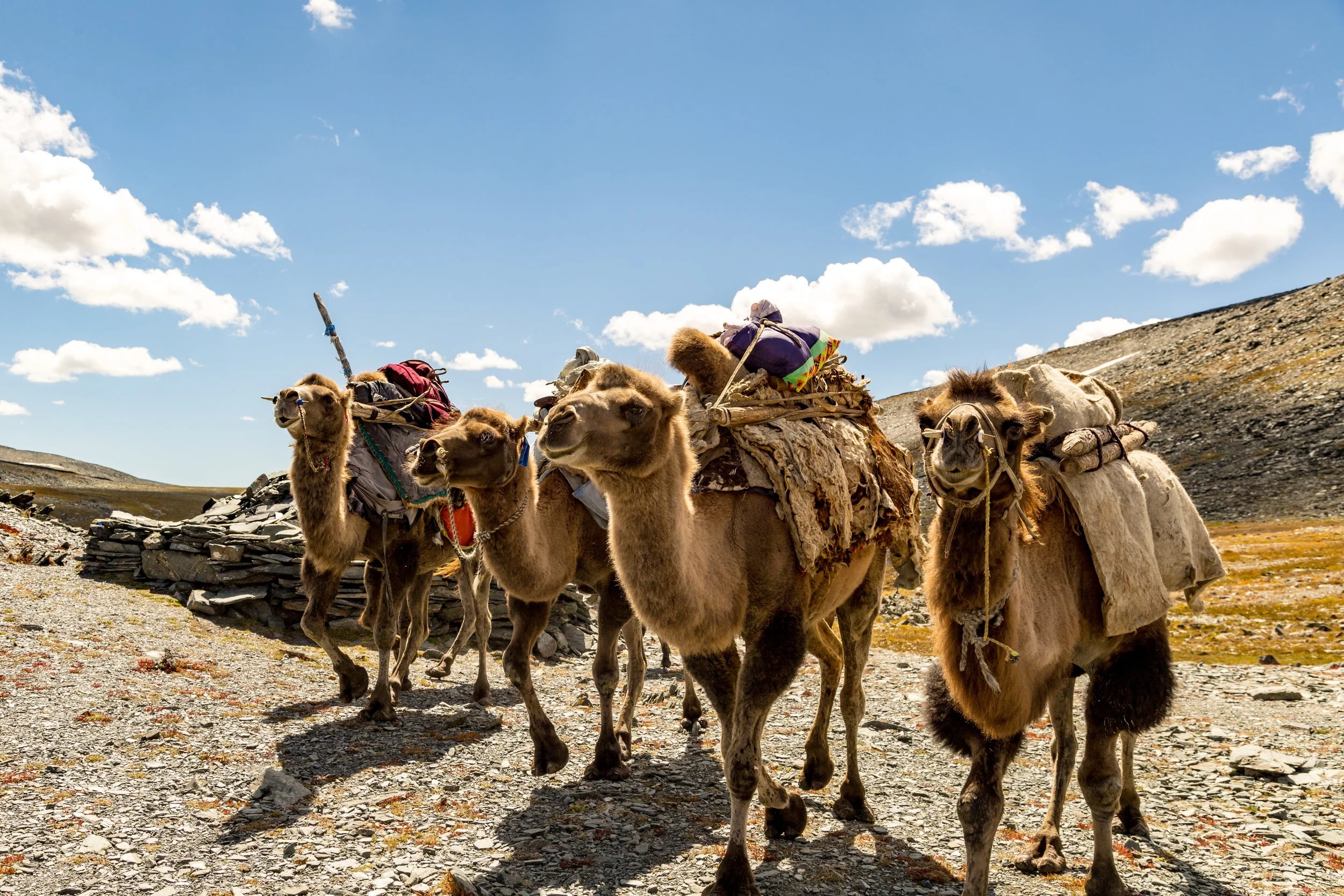 Mongolia Walking Tours