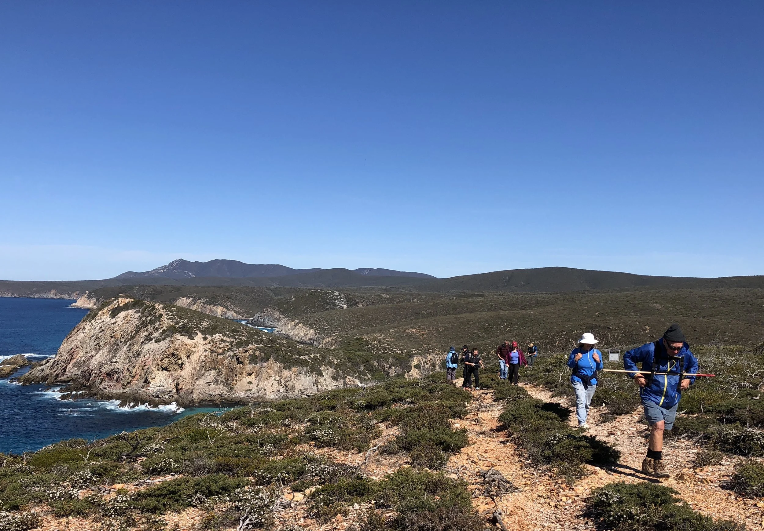 Quoin Head in the background - walking the Hakea Trail in the Fitzgerald River National Park , Sept 2018 - huge highlight!