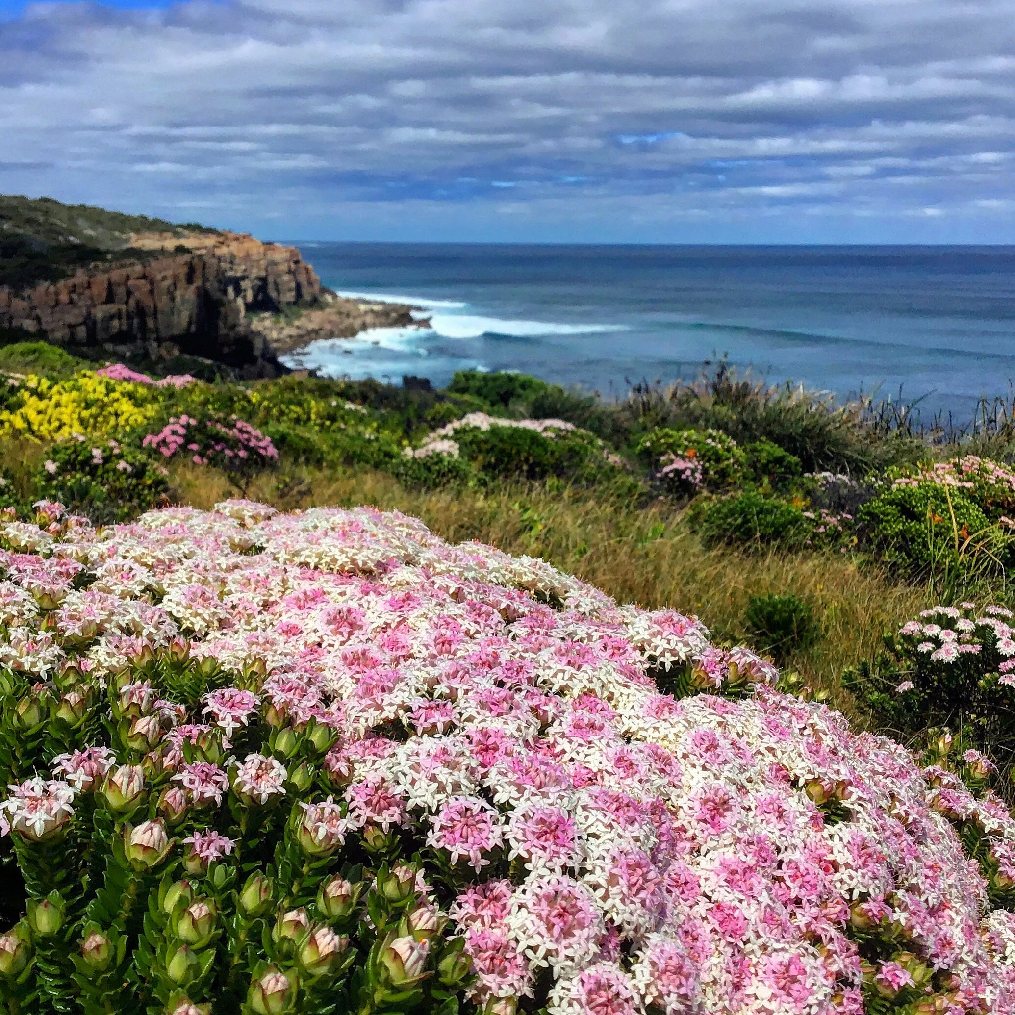 Edgewalkers Cape to Cape 2 Day Walking Adventure