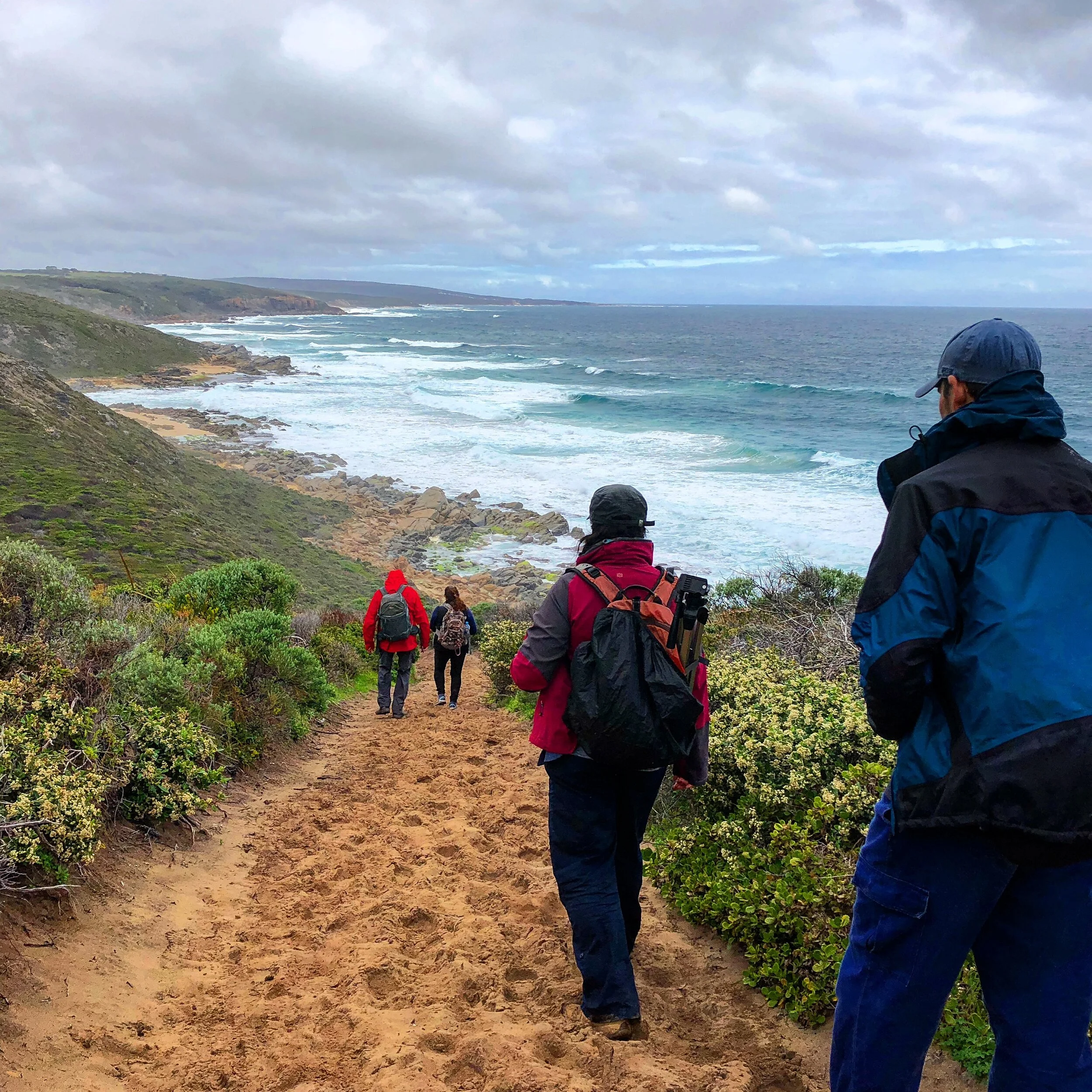 Edgewalkers Cape to Cape 2 Day Walking Adventure