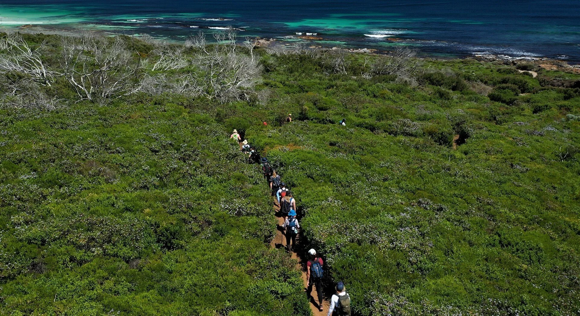 Beyond sustainability – 3 important messages about the future of tourism in Australia